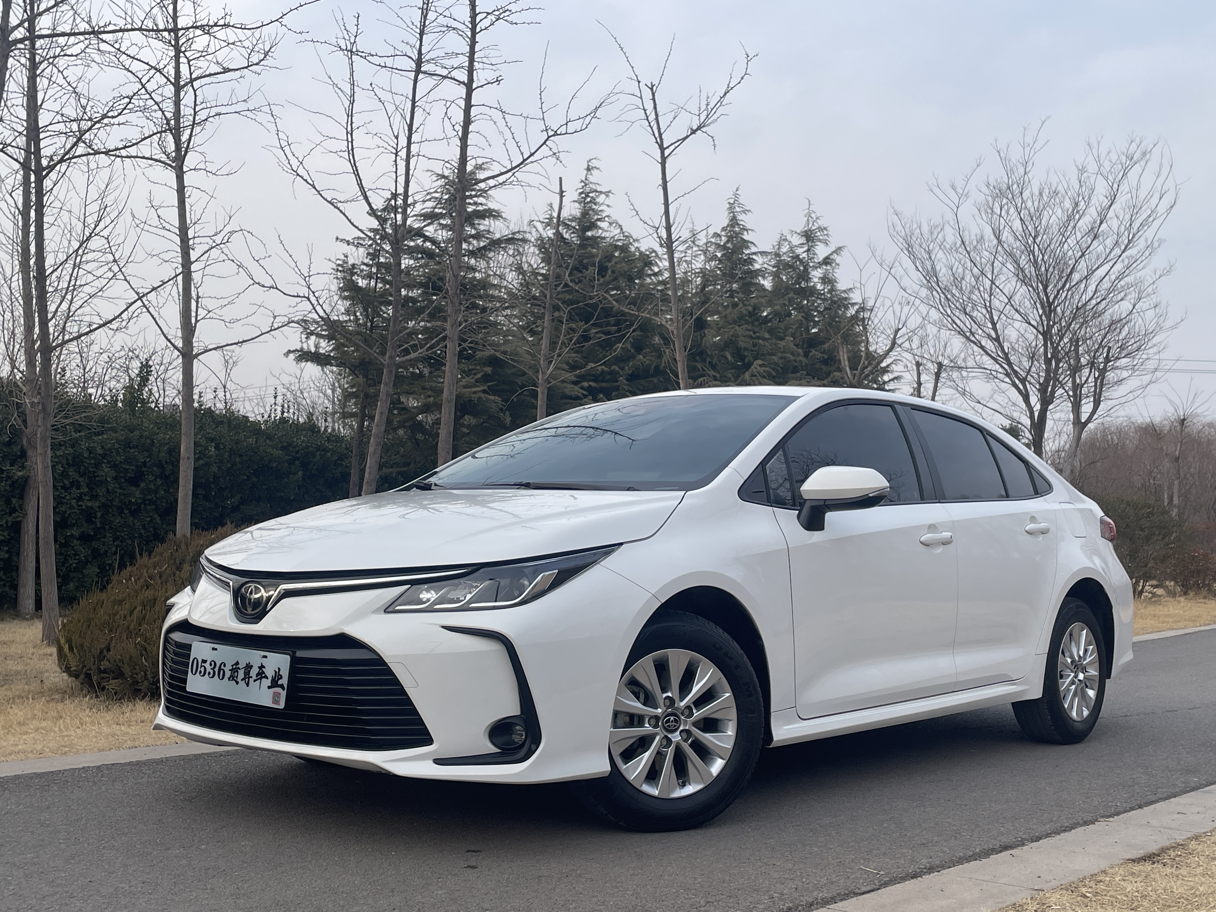 Corolla 2023 Corolla 2023 car image