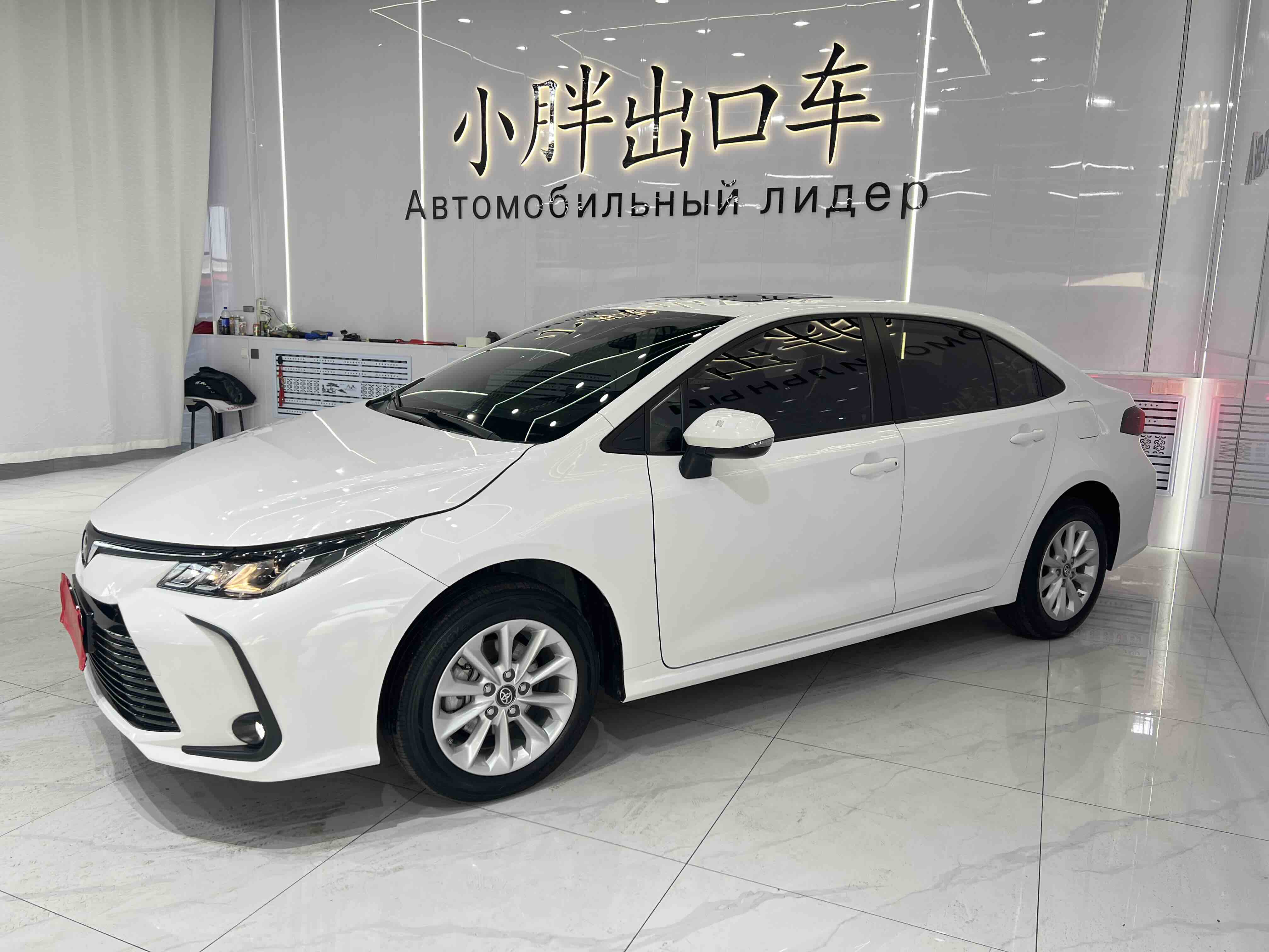 Corolla 2022 car image 