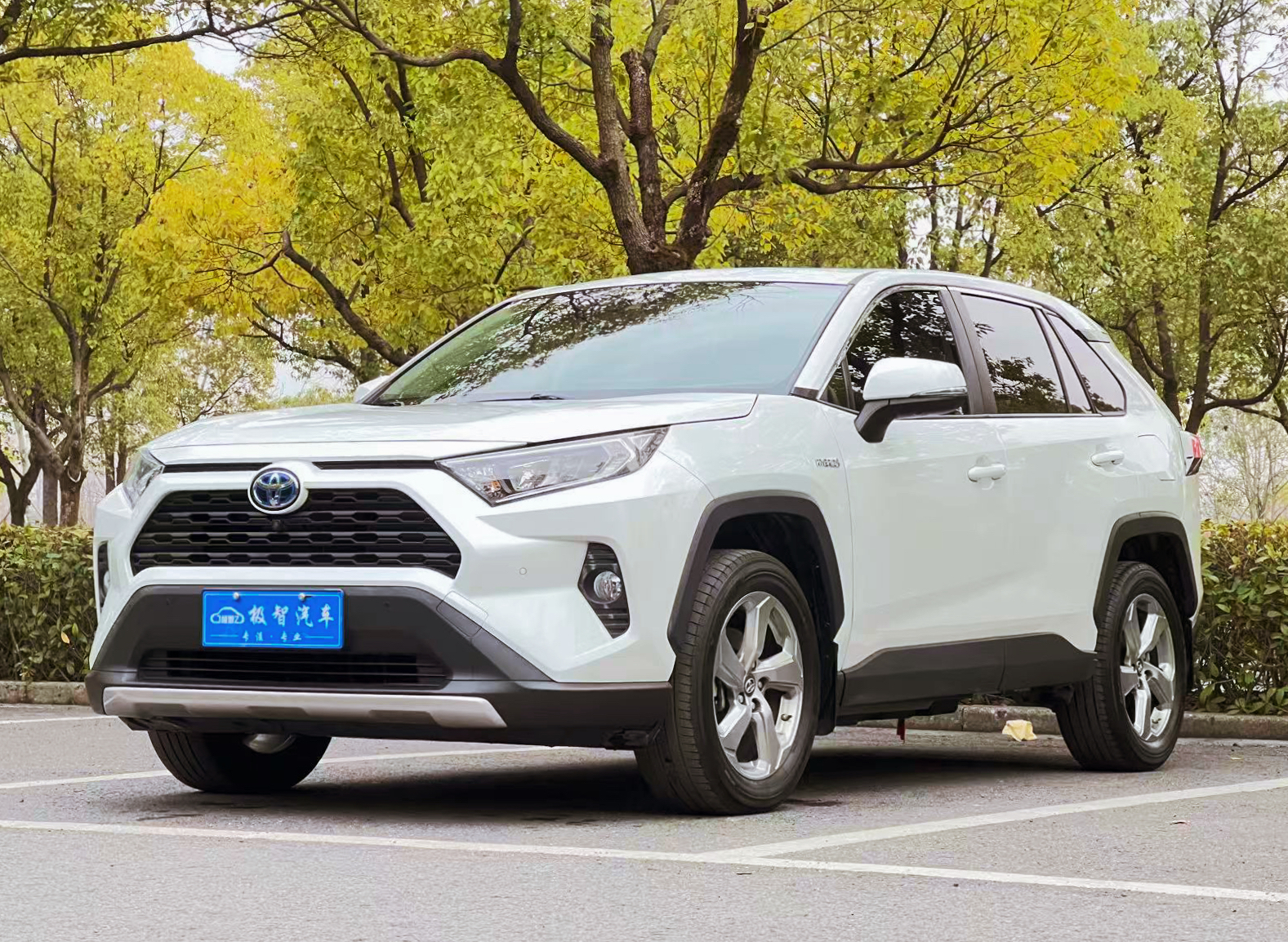 Toyota RAV4 2023 Toyota RAV4 2023 car image