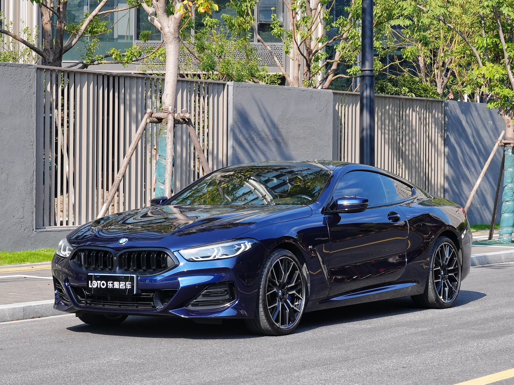 BMW 8 Series 2022 car image 