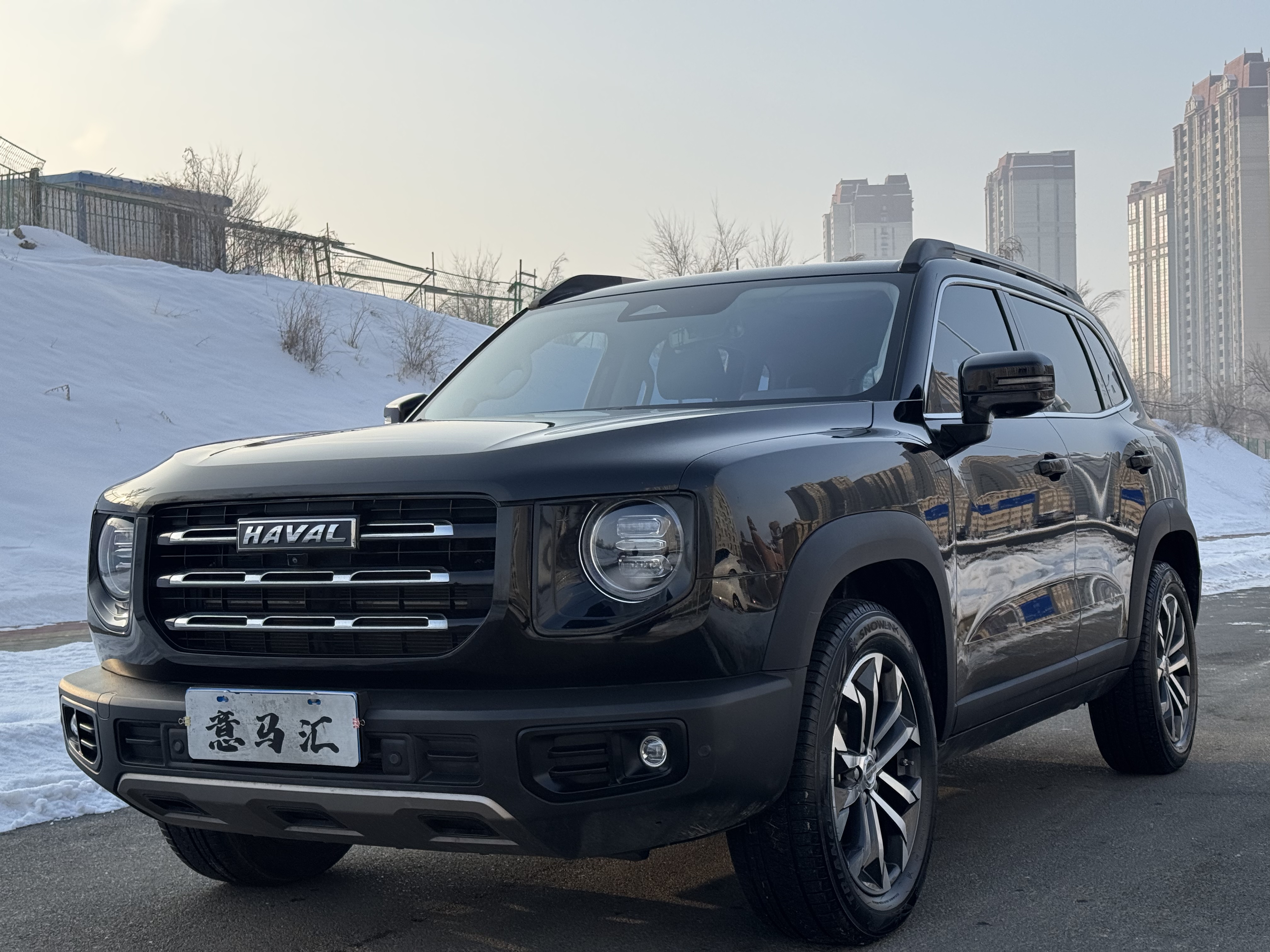 Haval X Dog / Dargo 2023 car image 