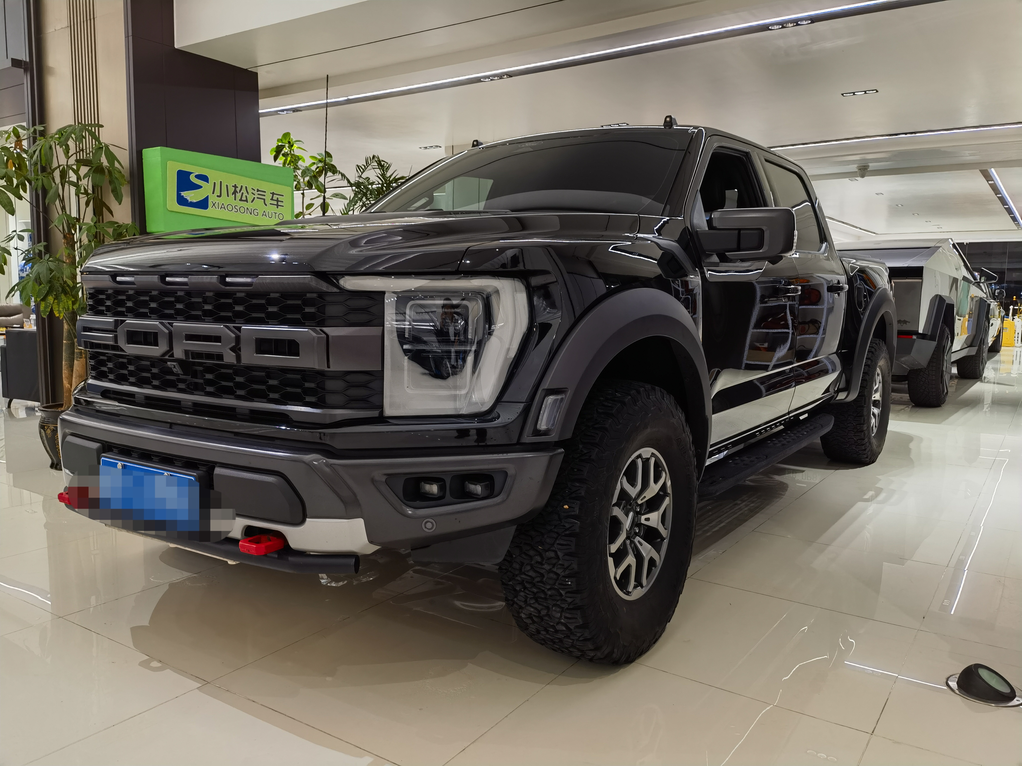Ford F-150 Raptor 2023 car image 