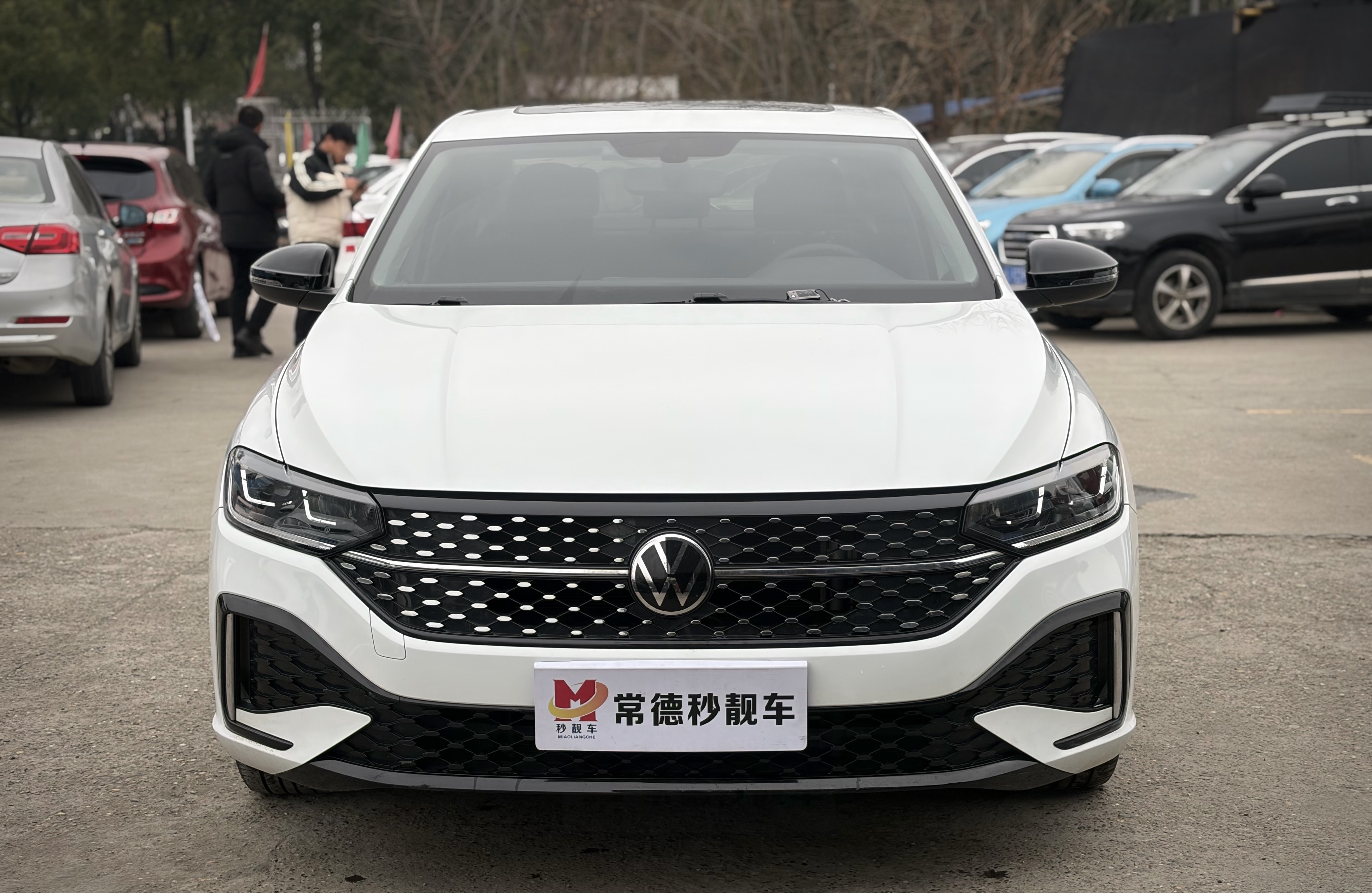 大众 朗逸 2023 汽车图片 