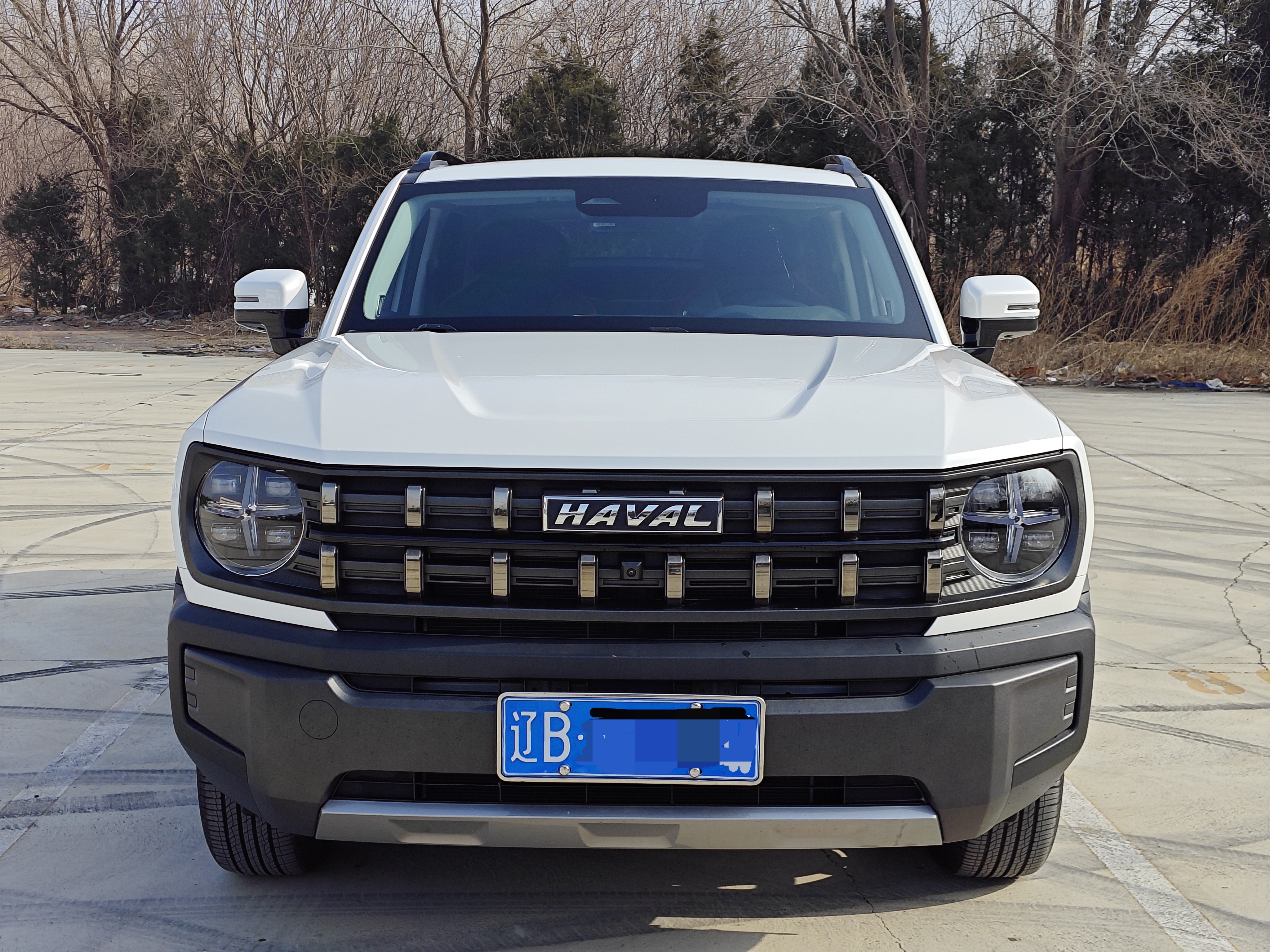 Haval Dargo 2023 car image 