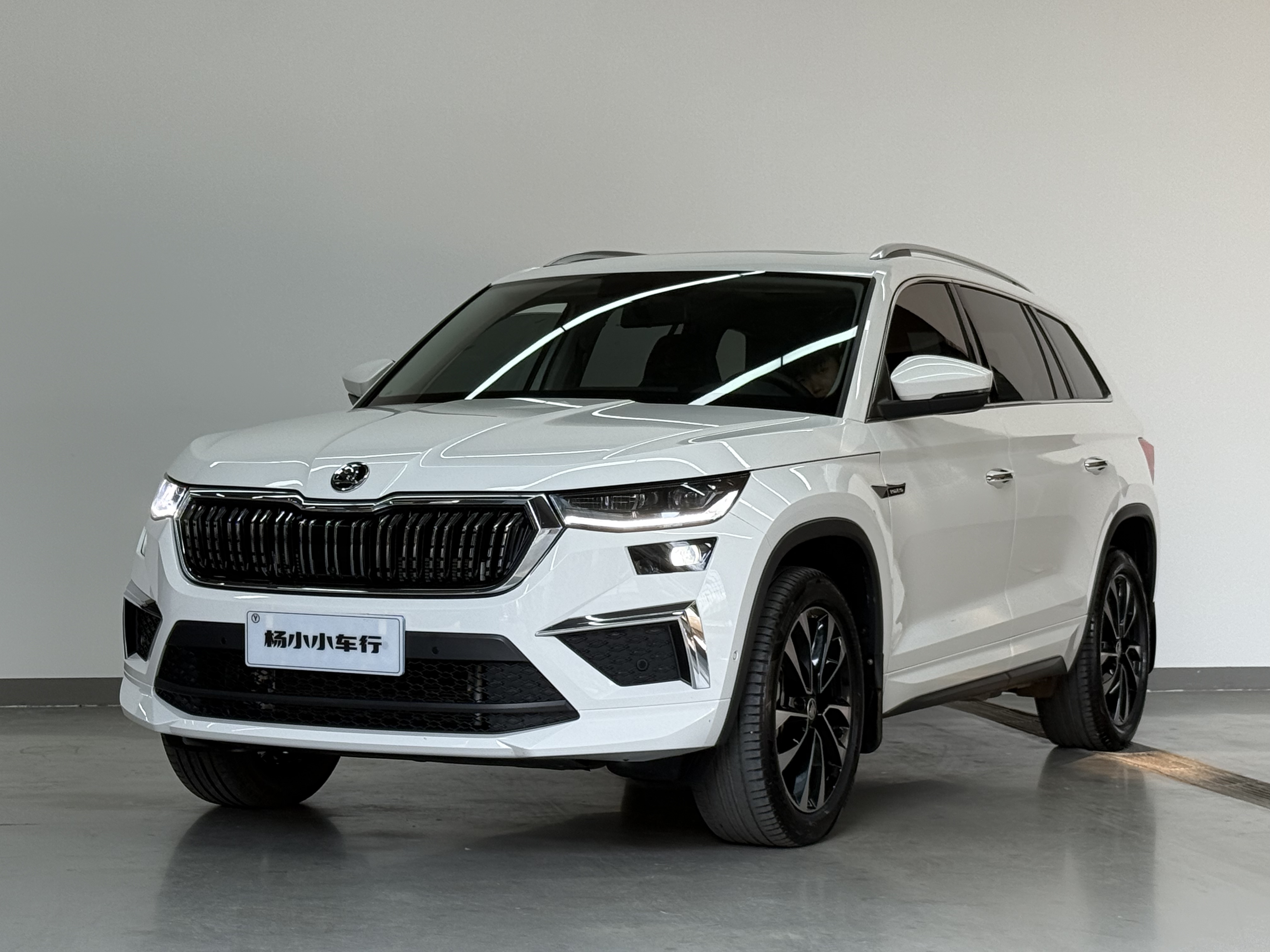 Skoda Kodiaq 2022 汽车图片 