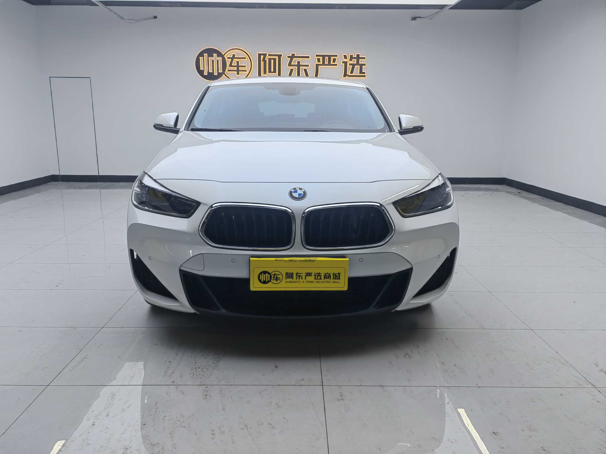 BMW X2 2022 car image 