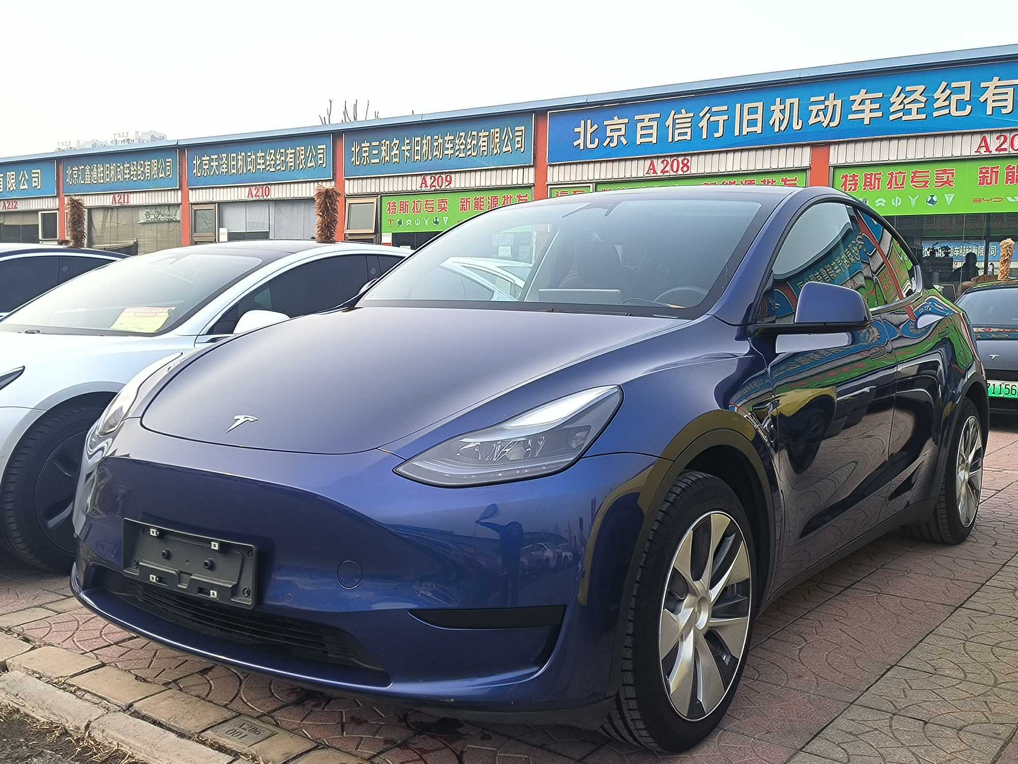Tesla Model Y 2023 汽车图片 