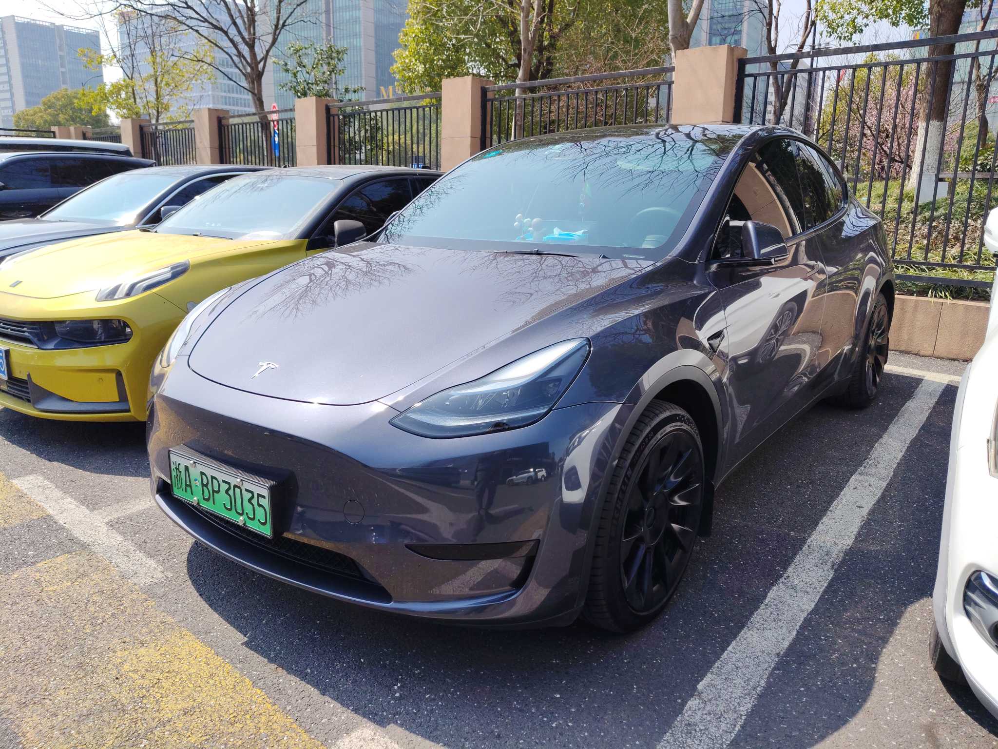 Tesla Model Y 2023 汽车图片 