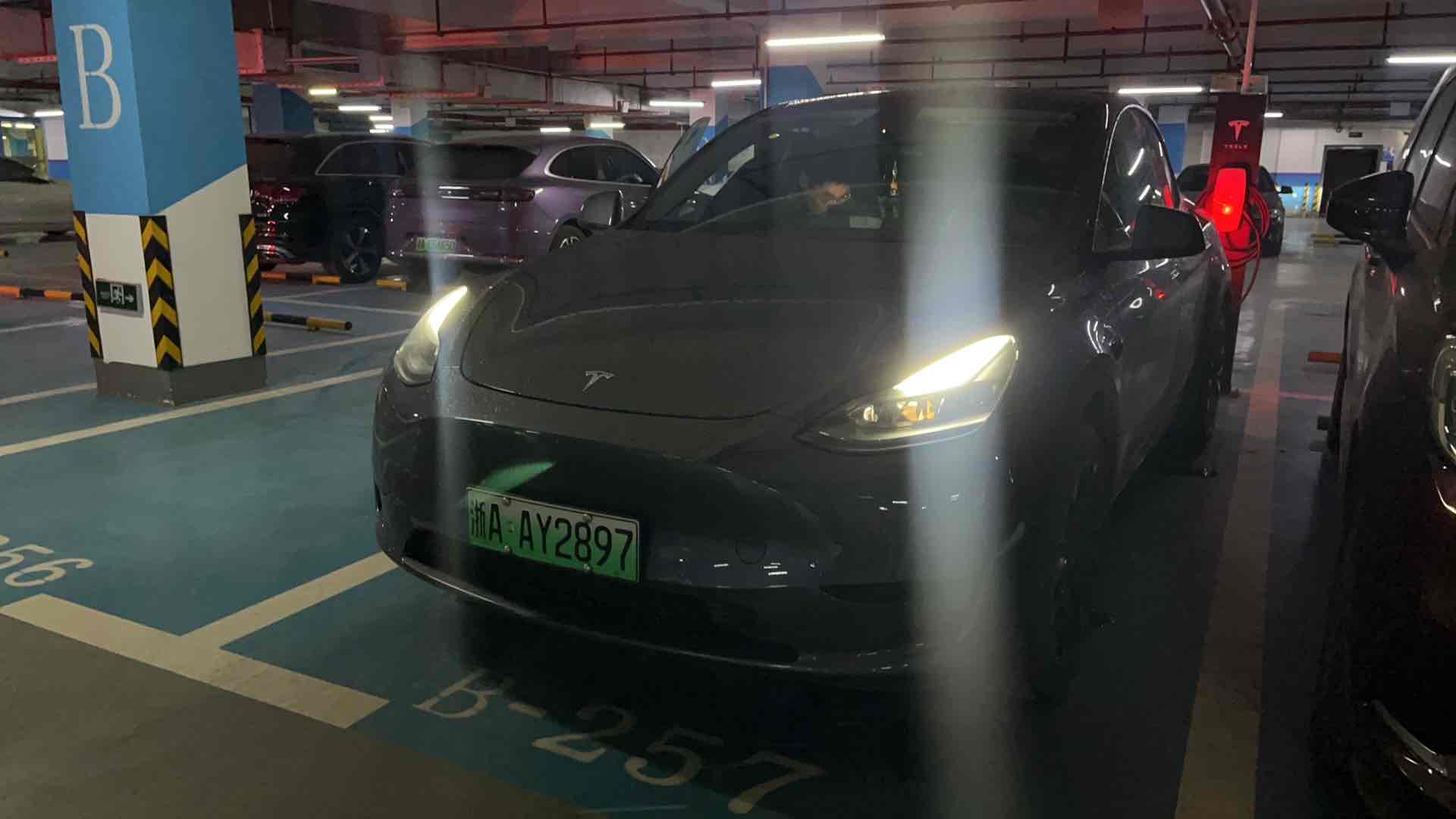 Tesla Model Y 2022 car image 