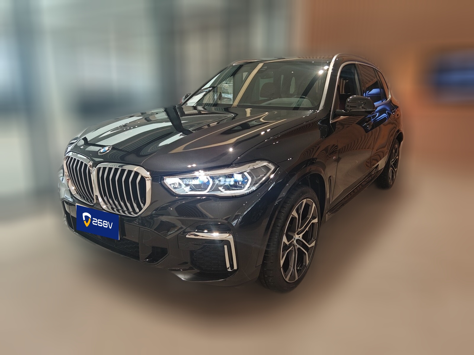 BMW X5 2023 汽车图片 