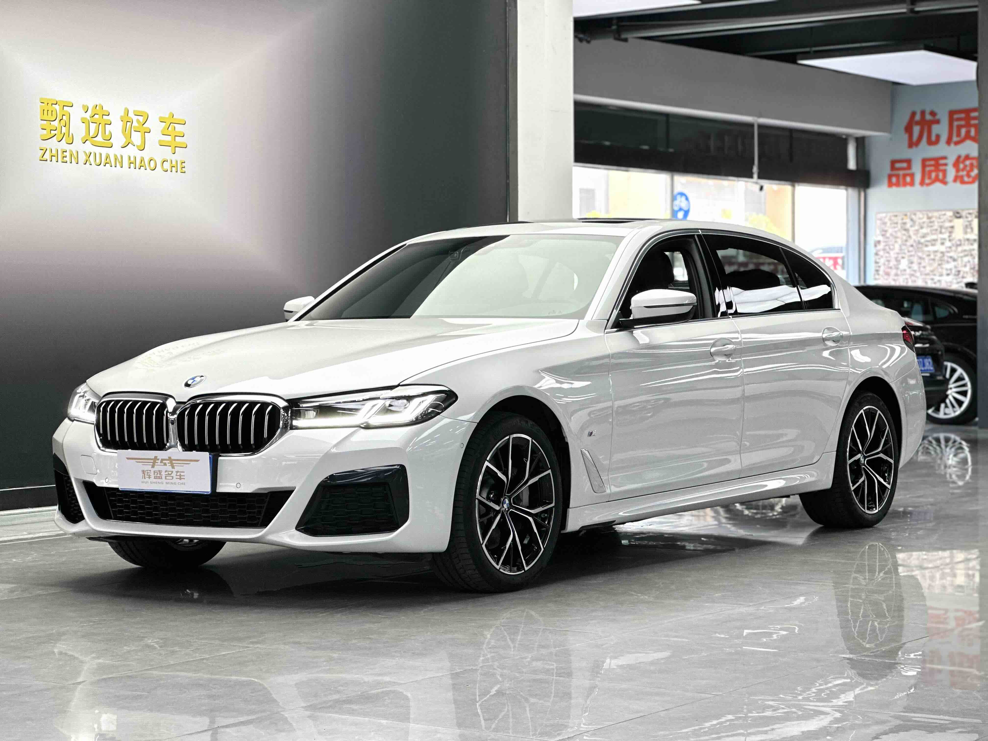 BMW 5 Series 2023 car image 