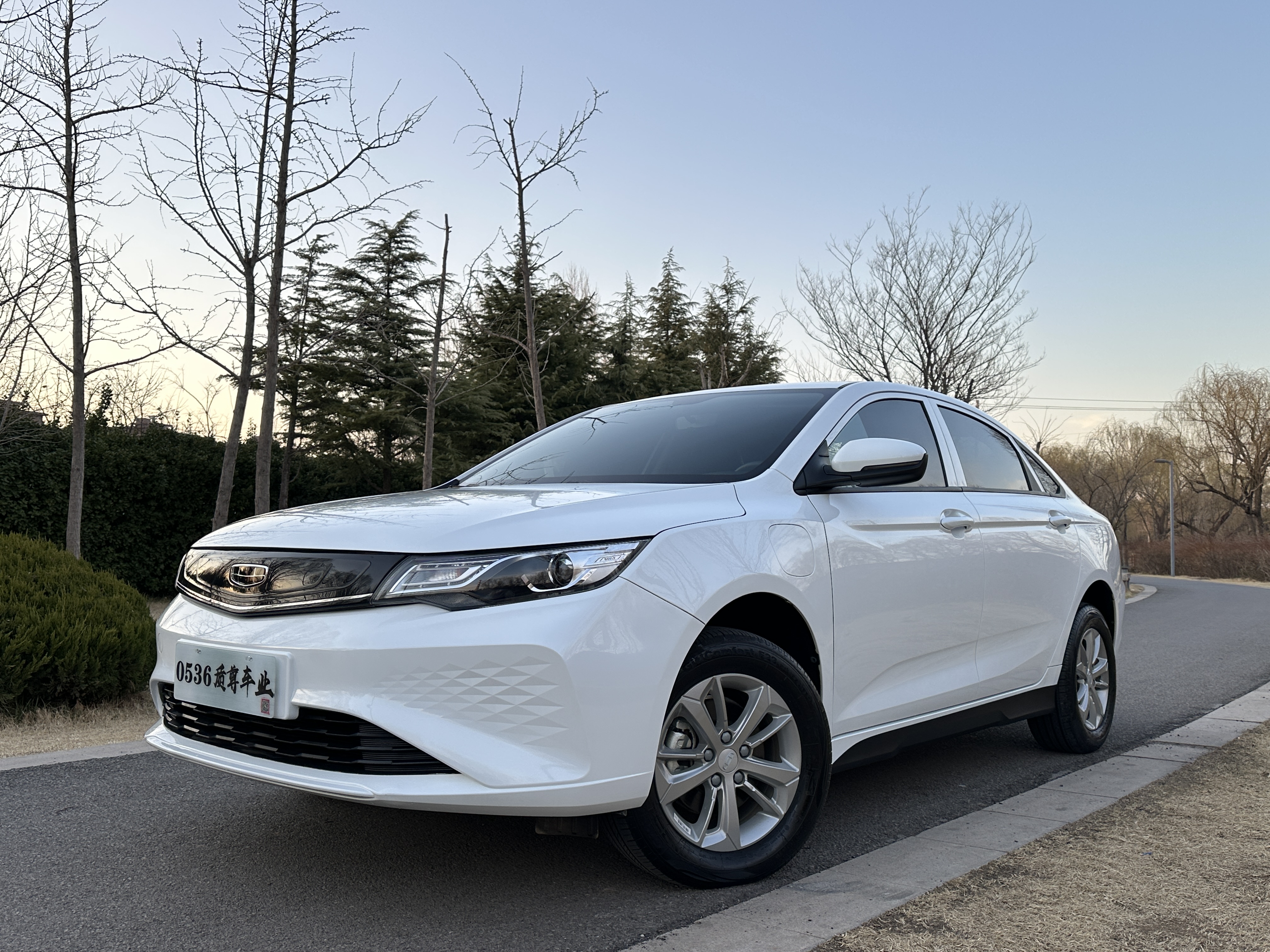 GEELY Emgrand New Energy 2024 immagine di auto 