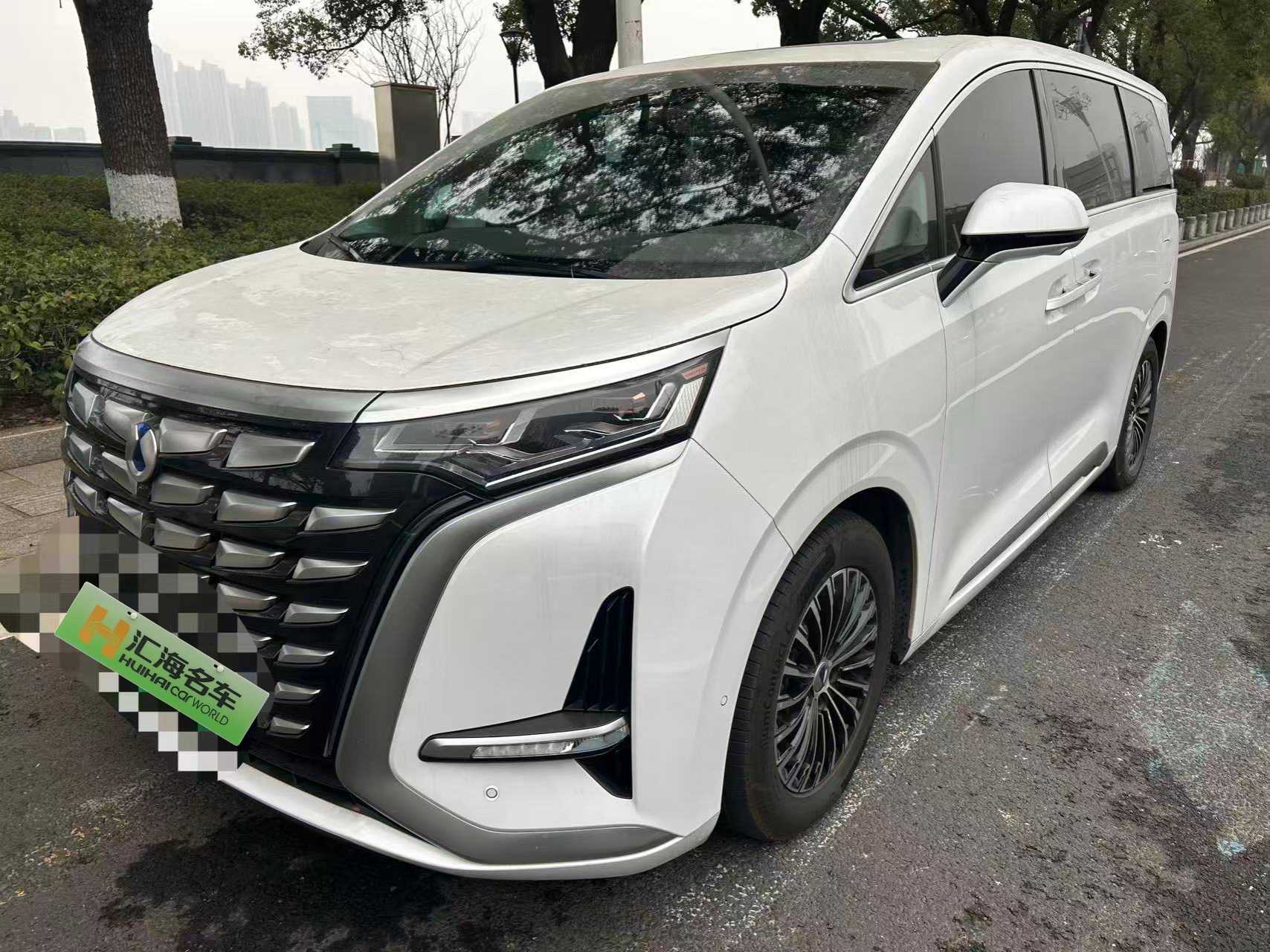 Denza D9 2023 car image 