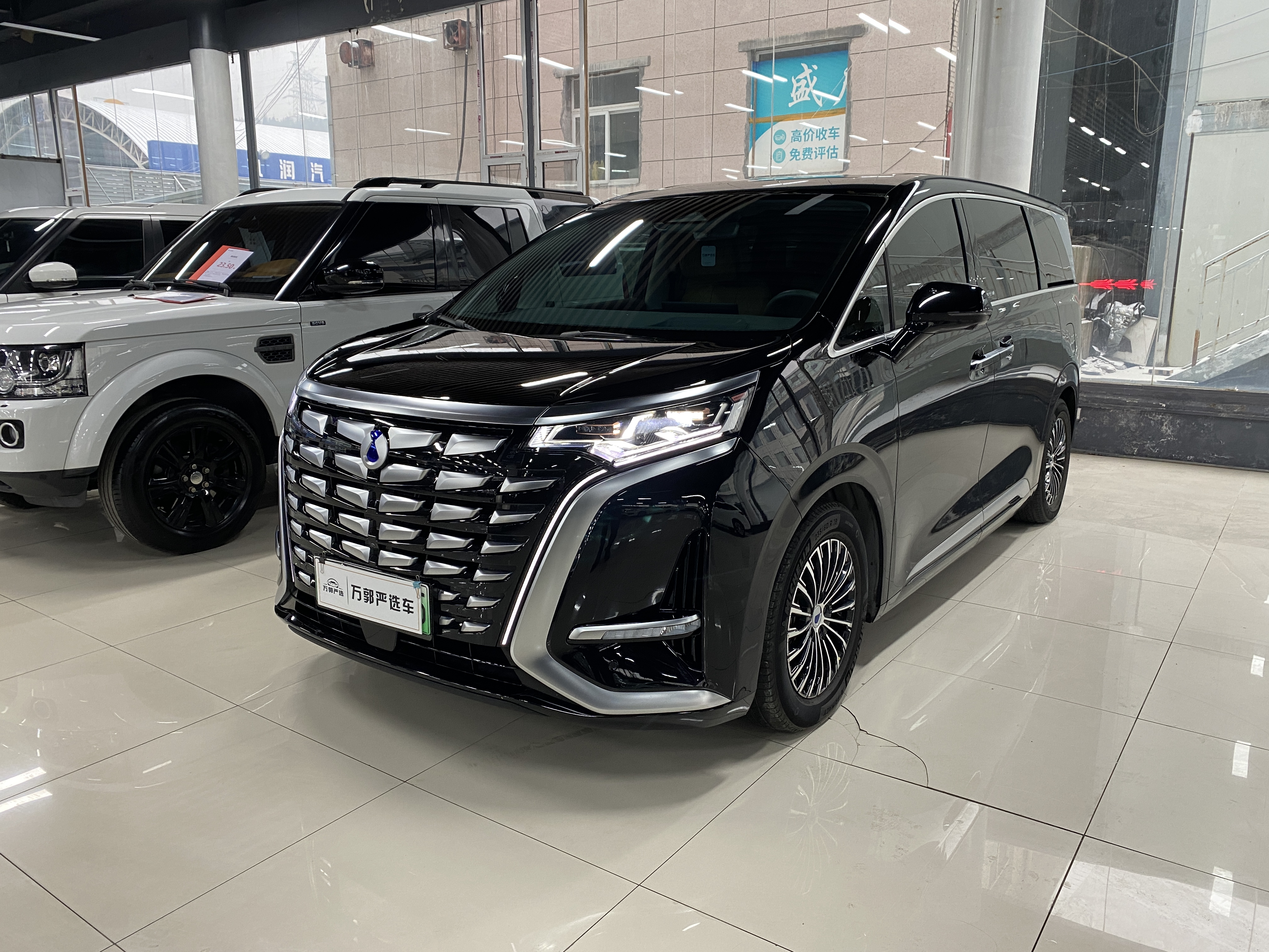 Denza D9 2023 car image 