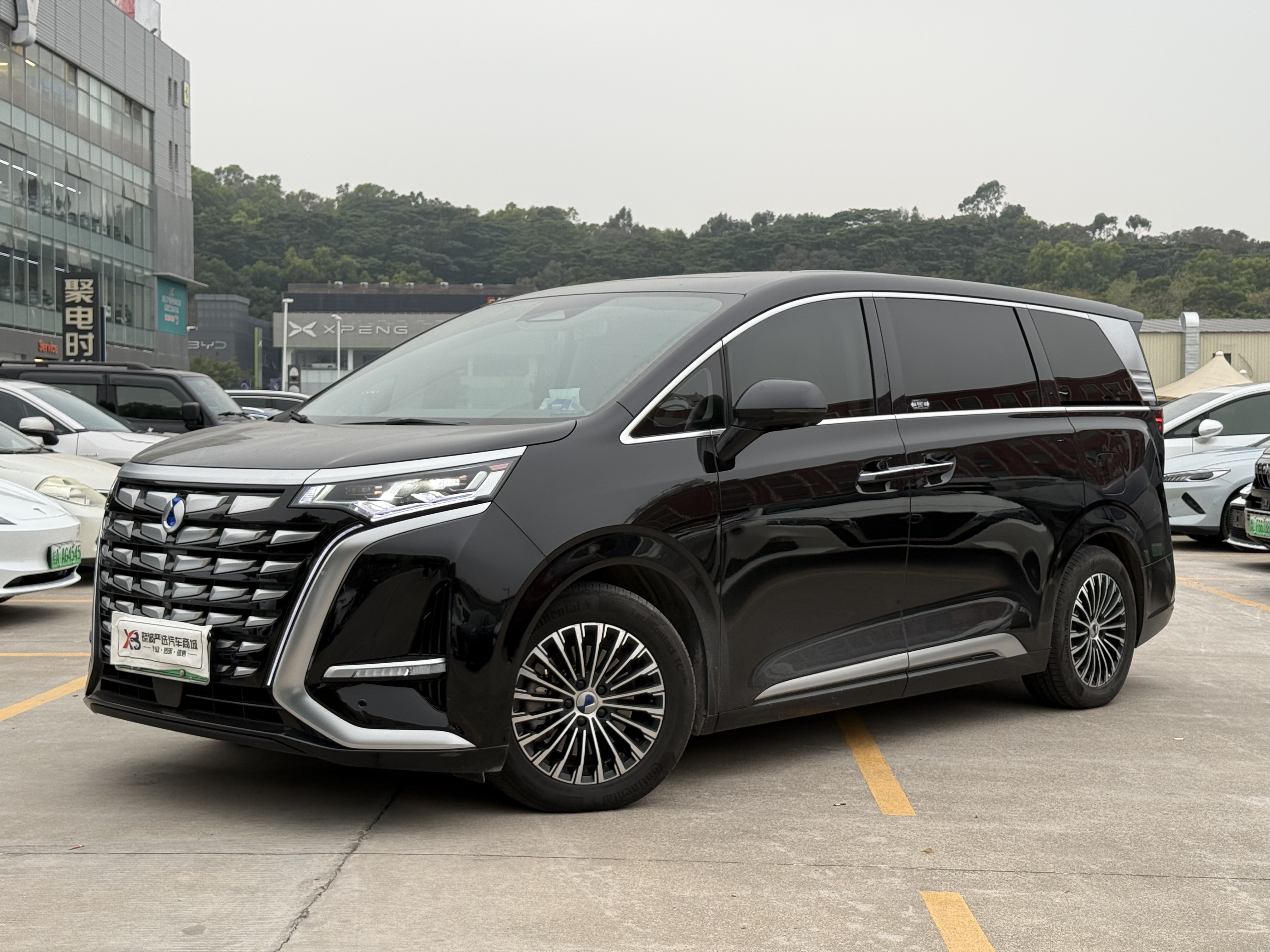 腾势 腾势D9 2023 汽车图片 