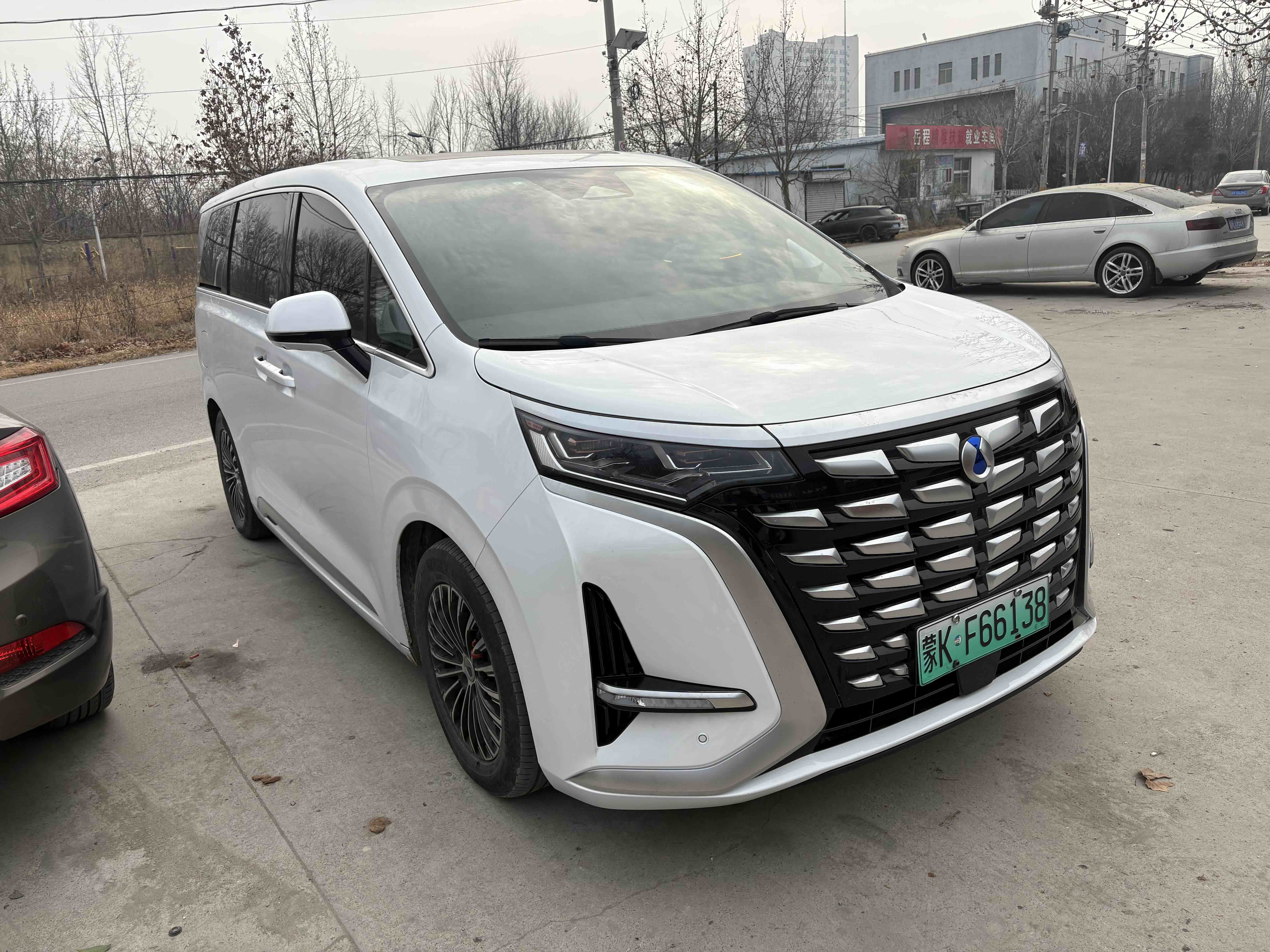 Denza D9 2023 car image 