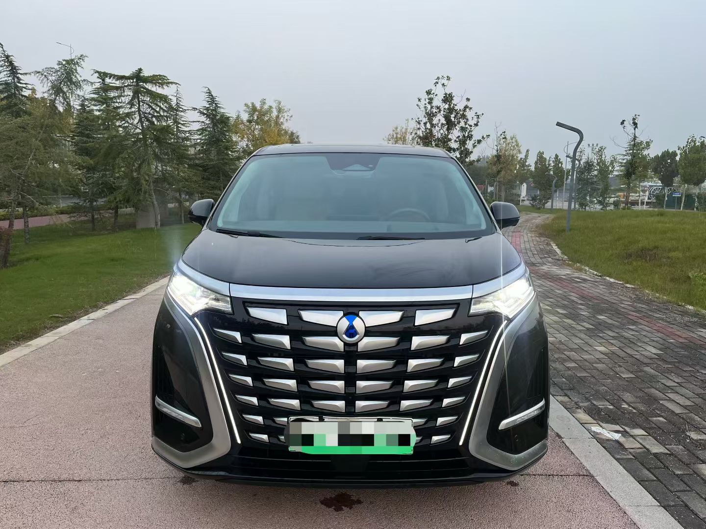 Denza D9 2023 car image 