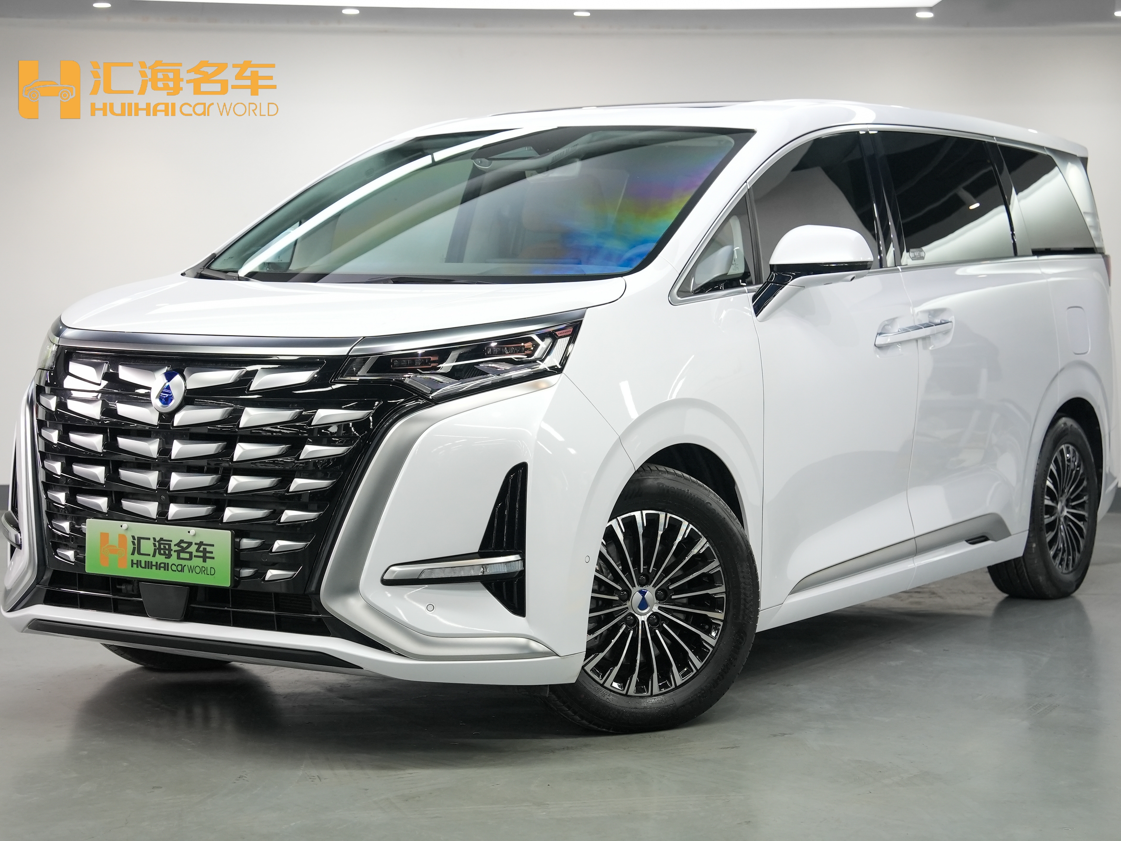 Denza D9 2023 immagine di auto 