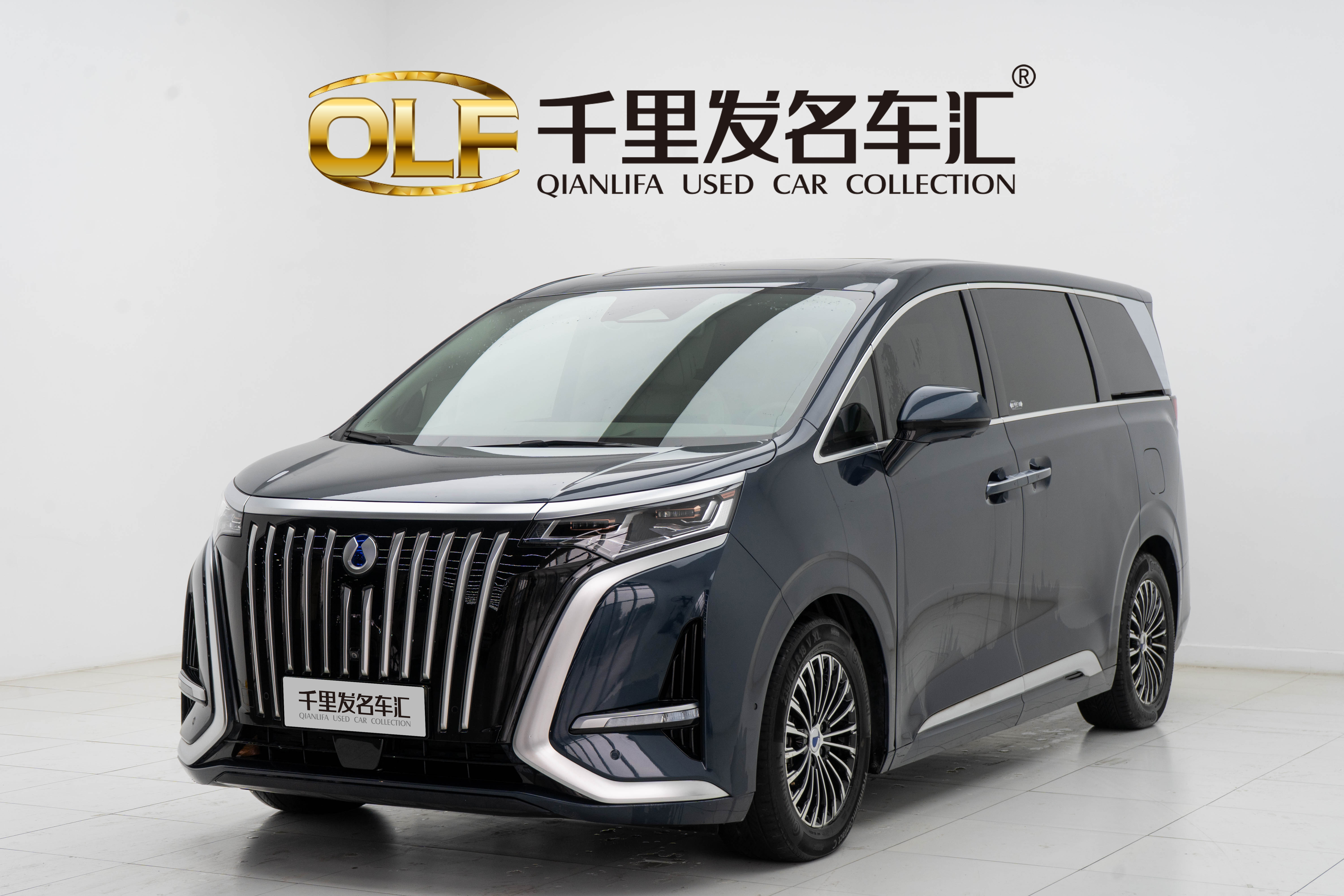 Denza D9 2023 car image 