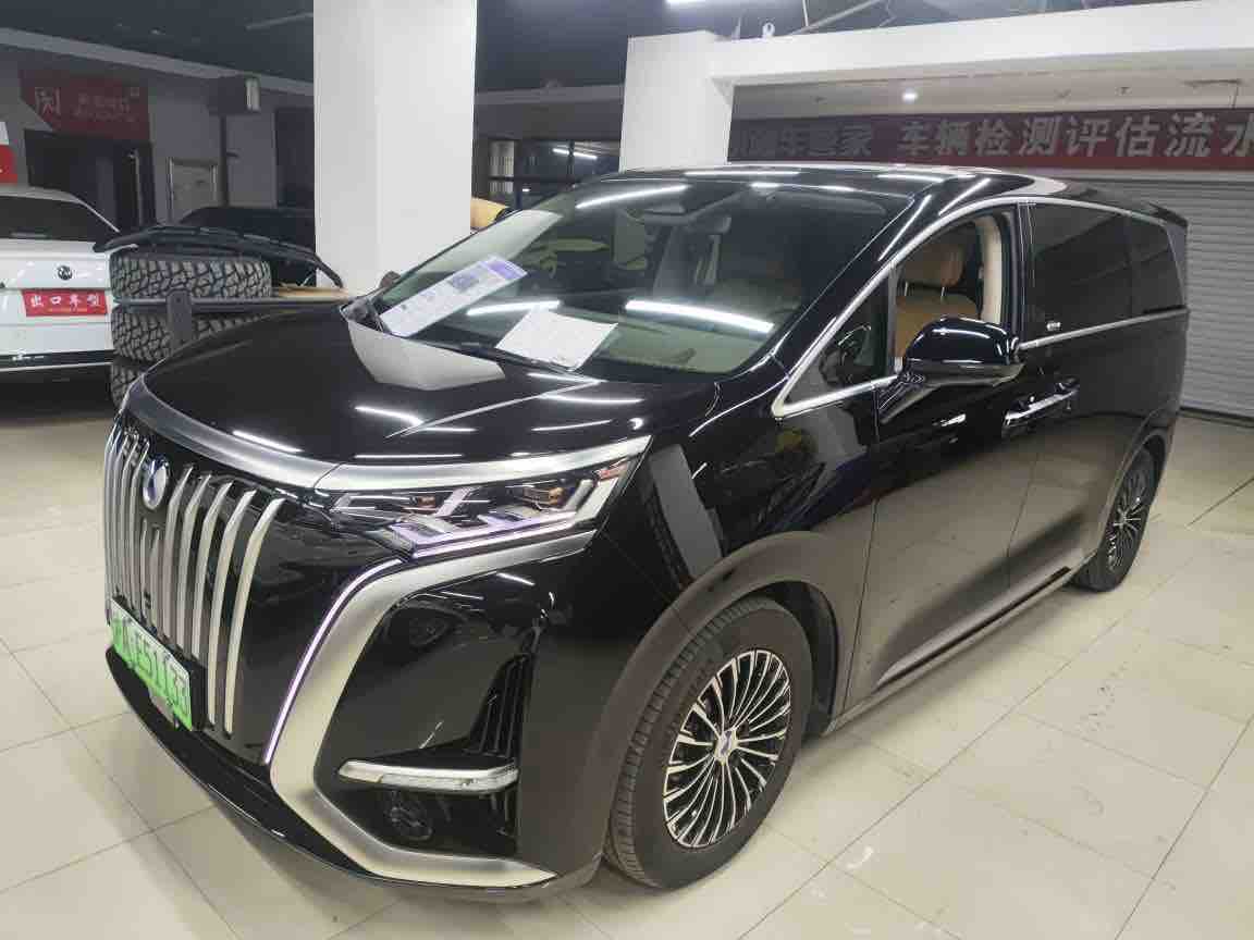 Denza D9 2023 car image 