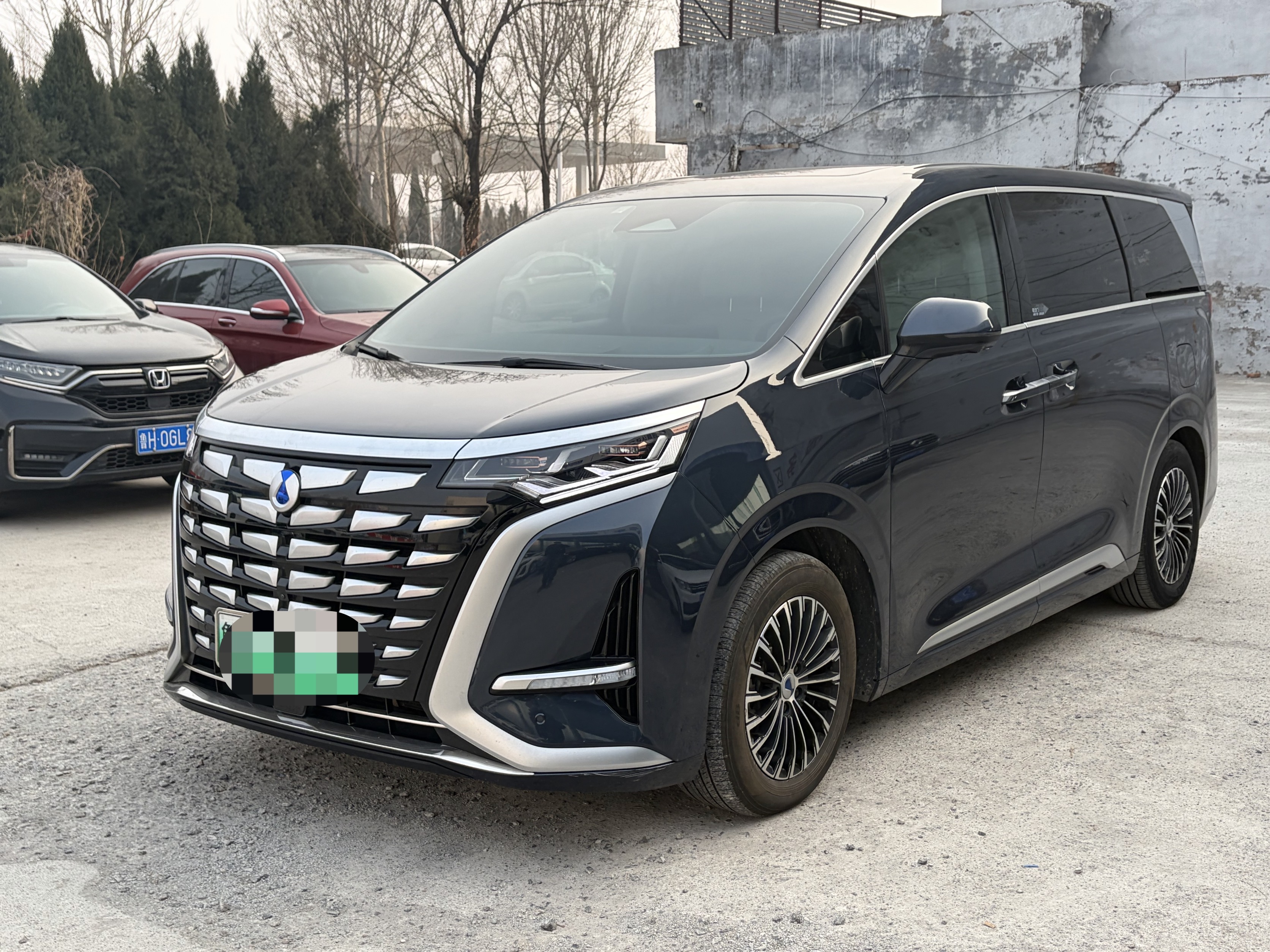 Denza D9 2023 car image 