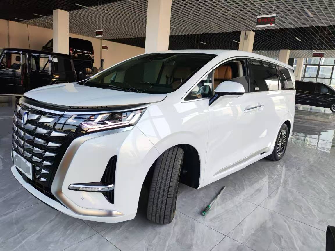 Denza D9 2024 car image 