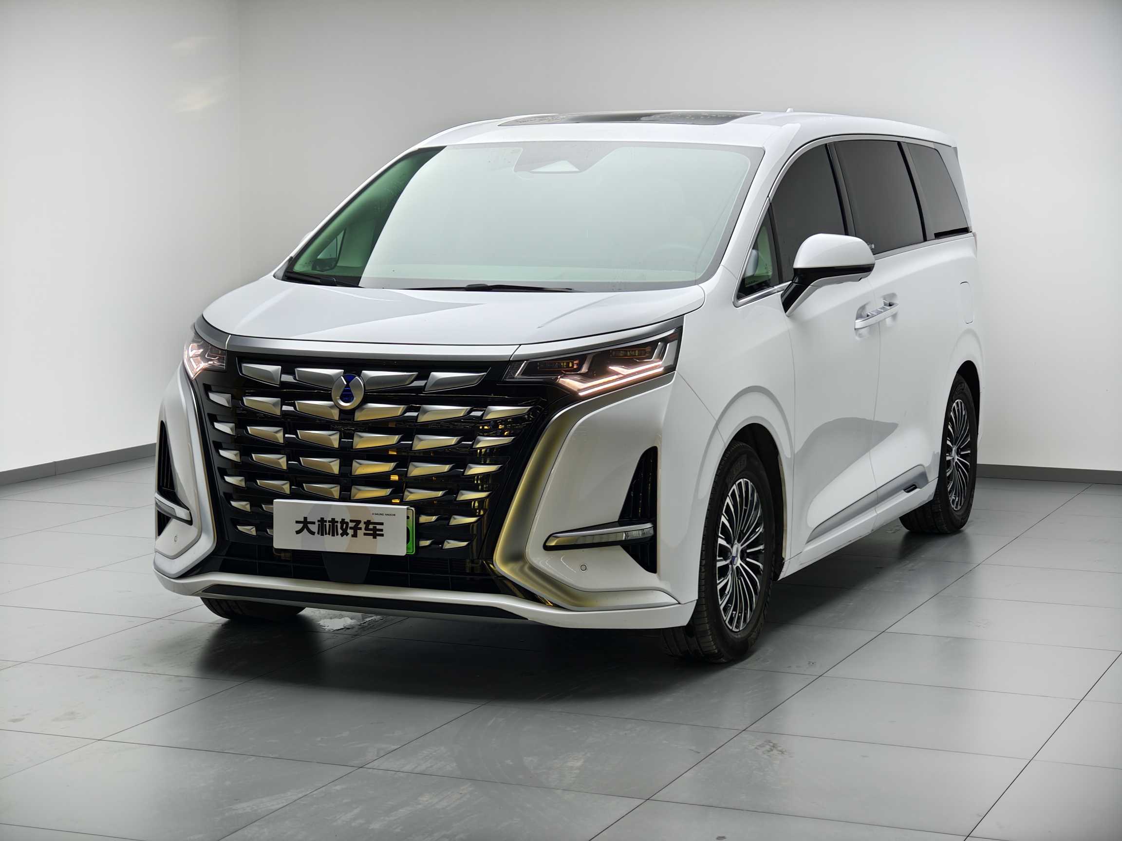 Denza D9 2024 car image 