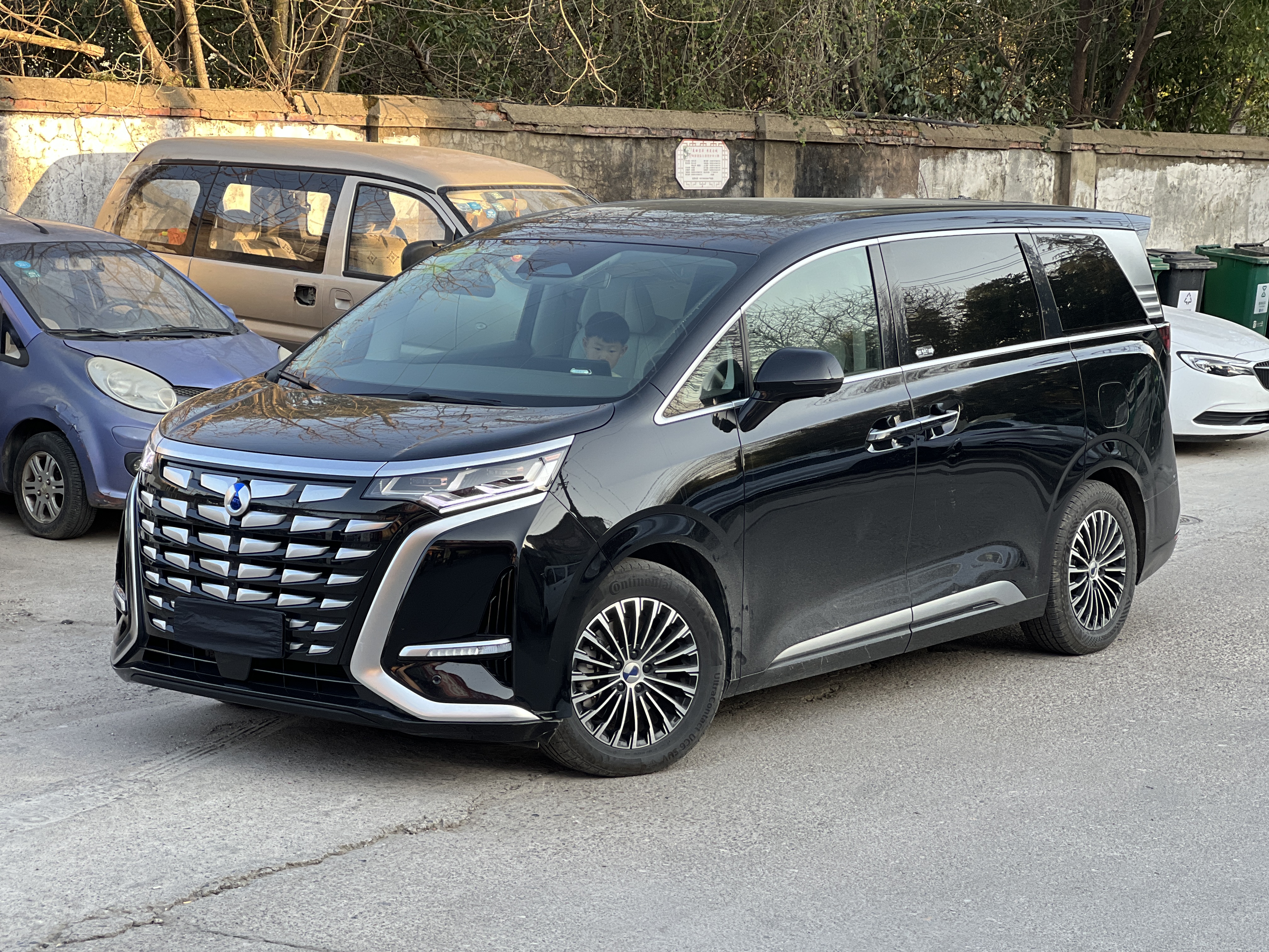 Denza D9 2023 immagine di auto 