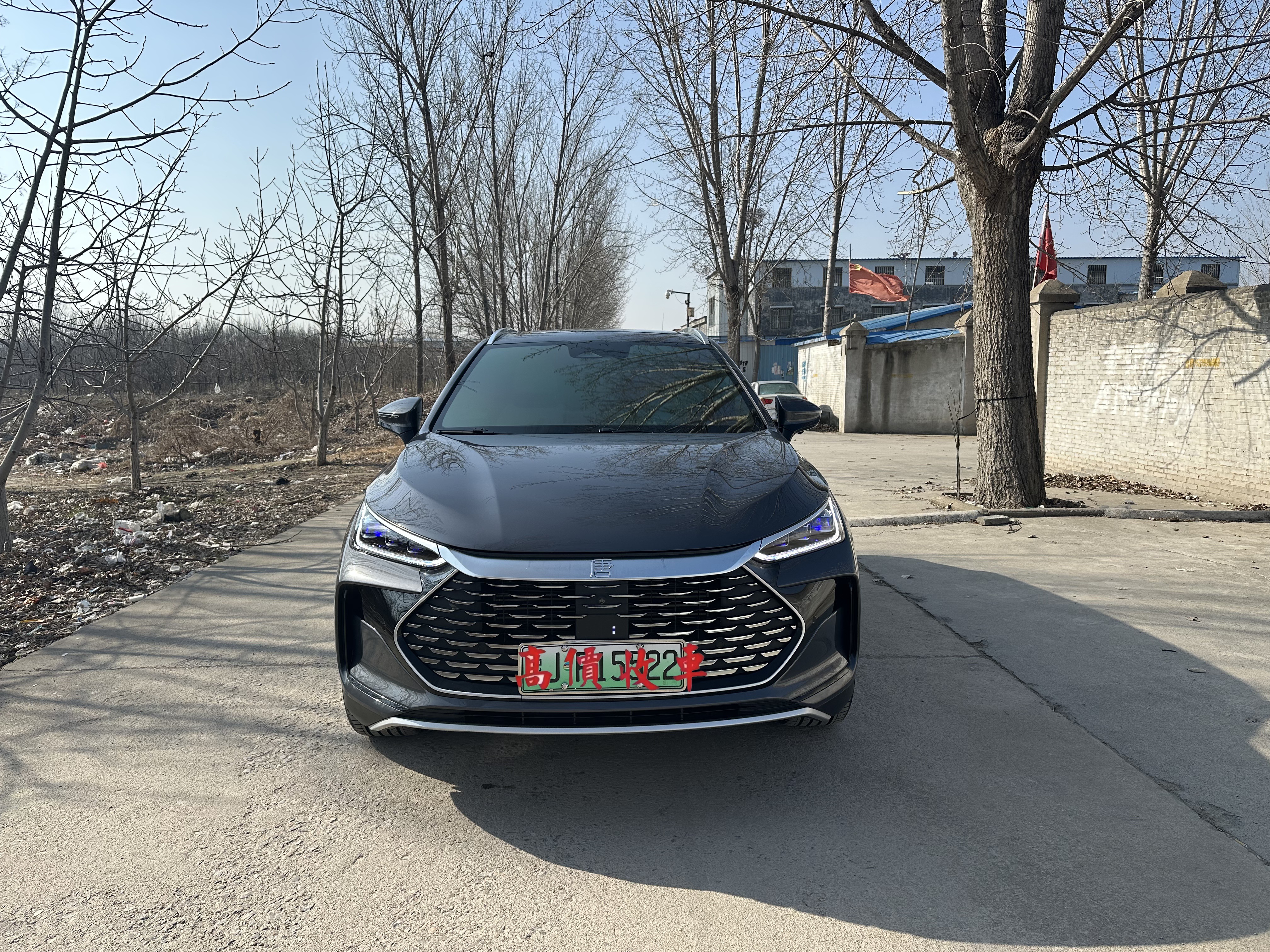 BYD Tang New Energy 2023 car image 