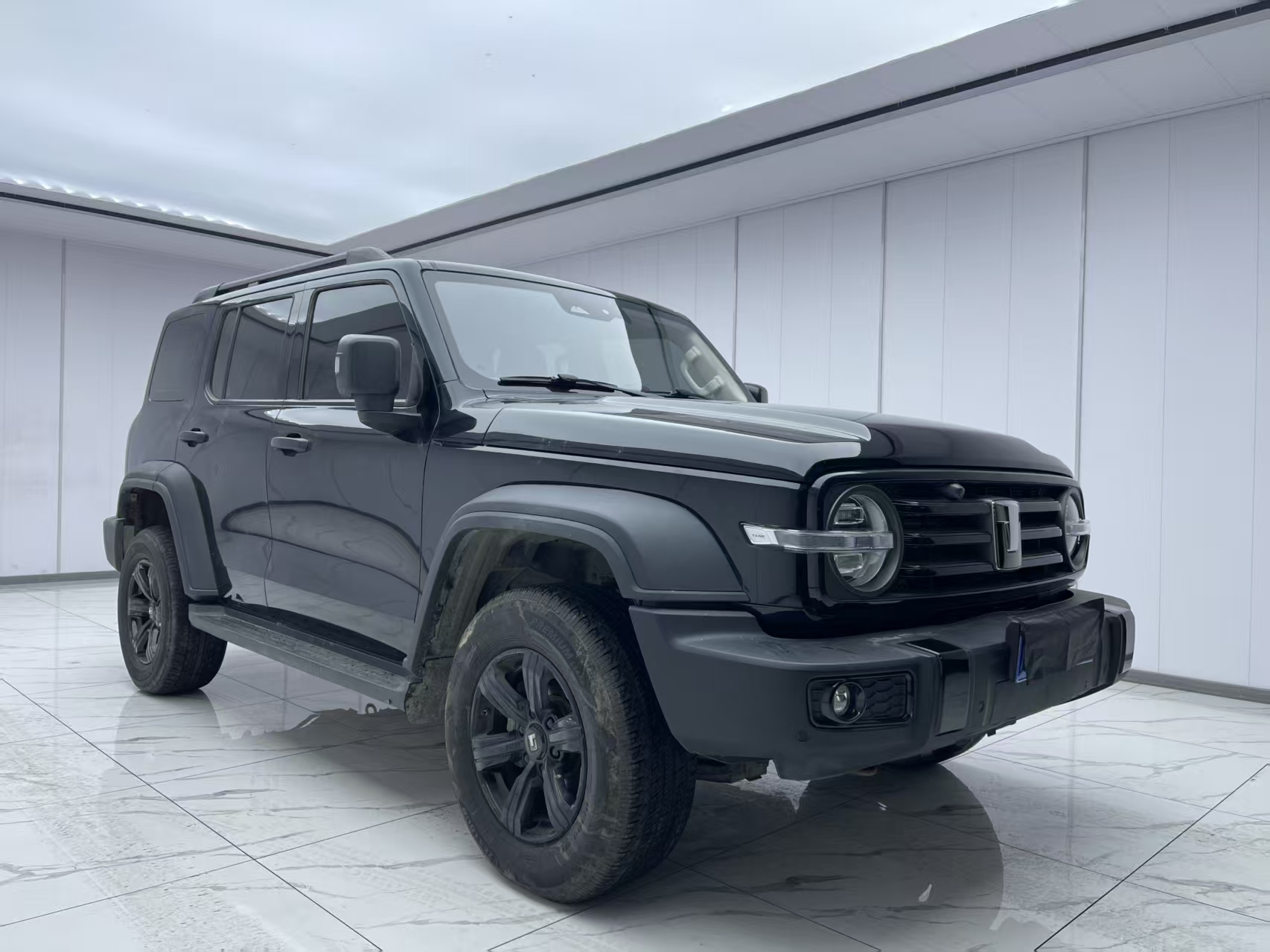 Tank 300 2023 汽车图片 