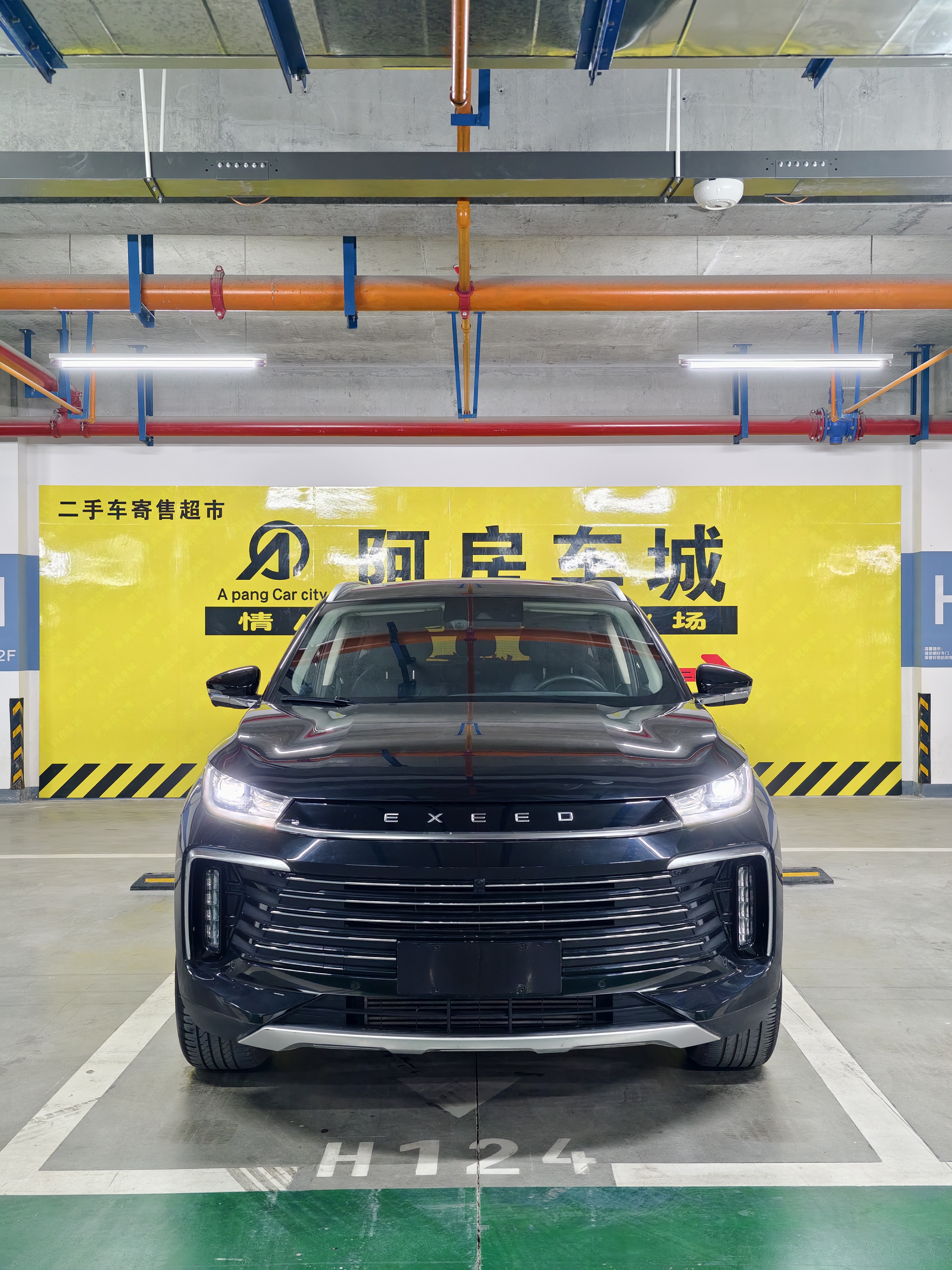 Exceed Lingyun 2023 car image 