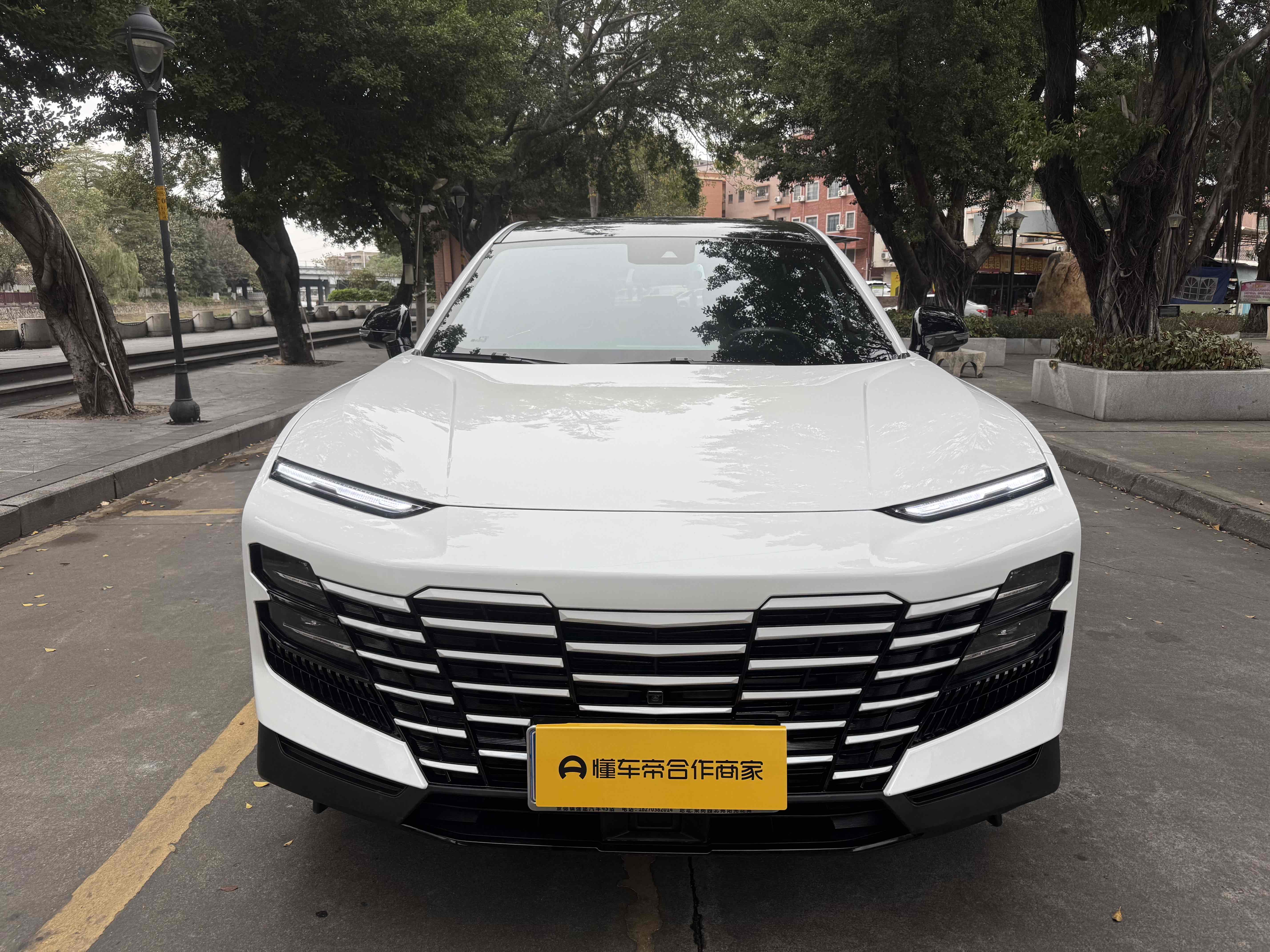 Dashing 2023 Dashing 2023 car image