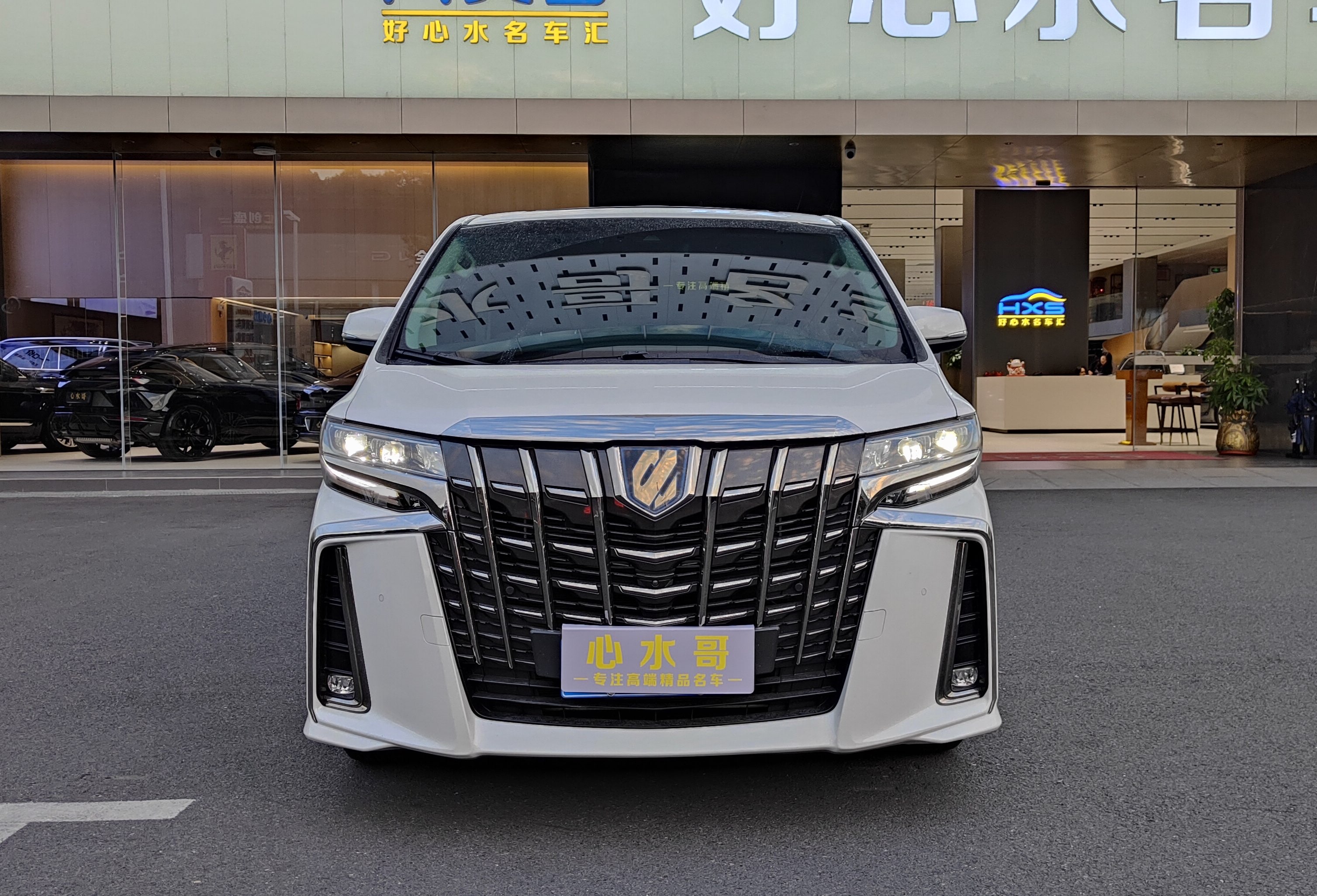 丰田 埃尔法 2023 汽车图片 