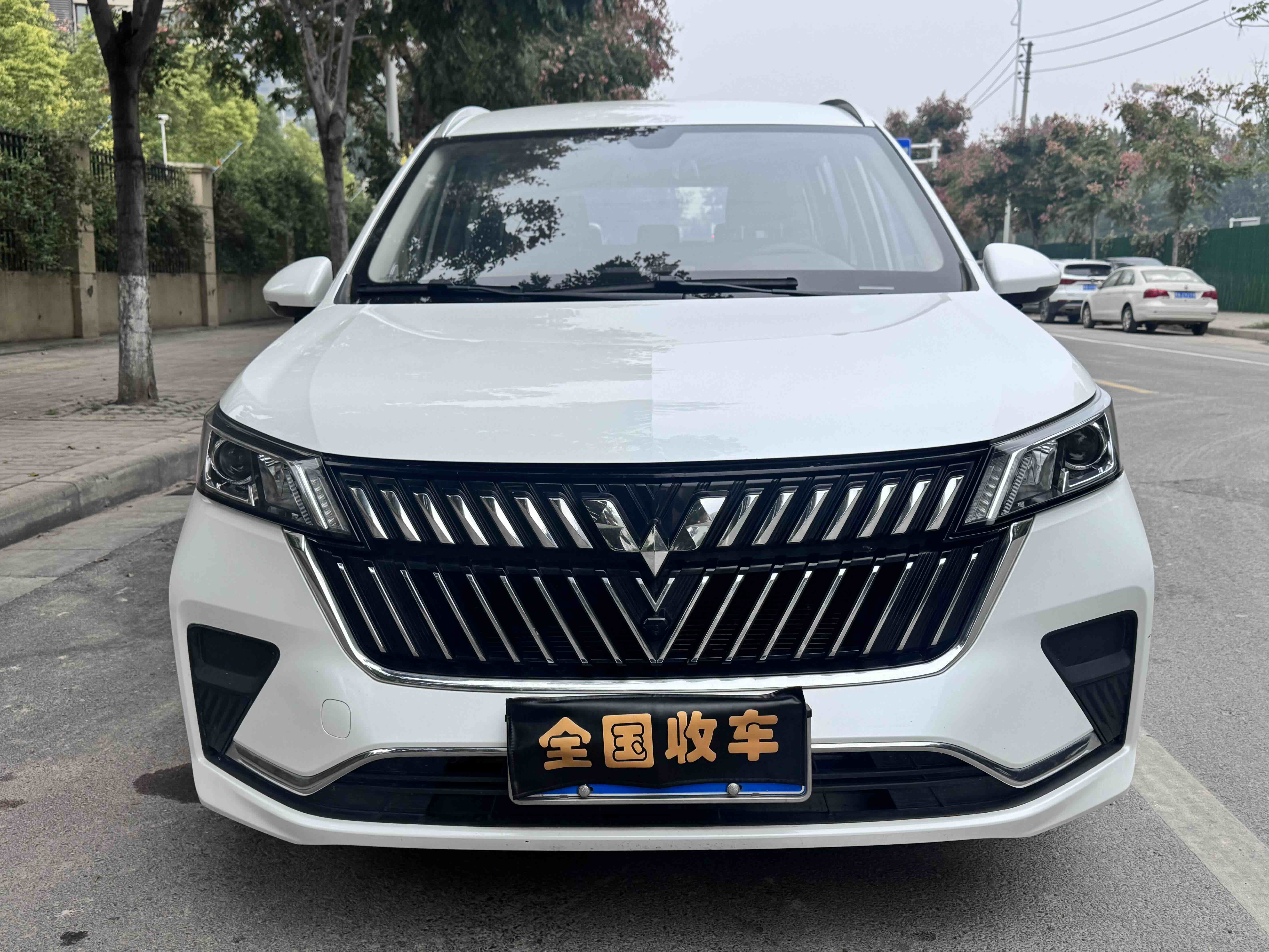 Wuling Jiachen 2023 汽车图片 