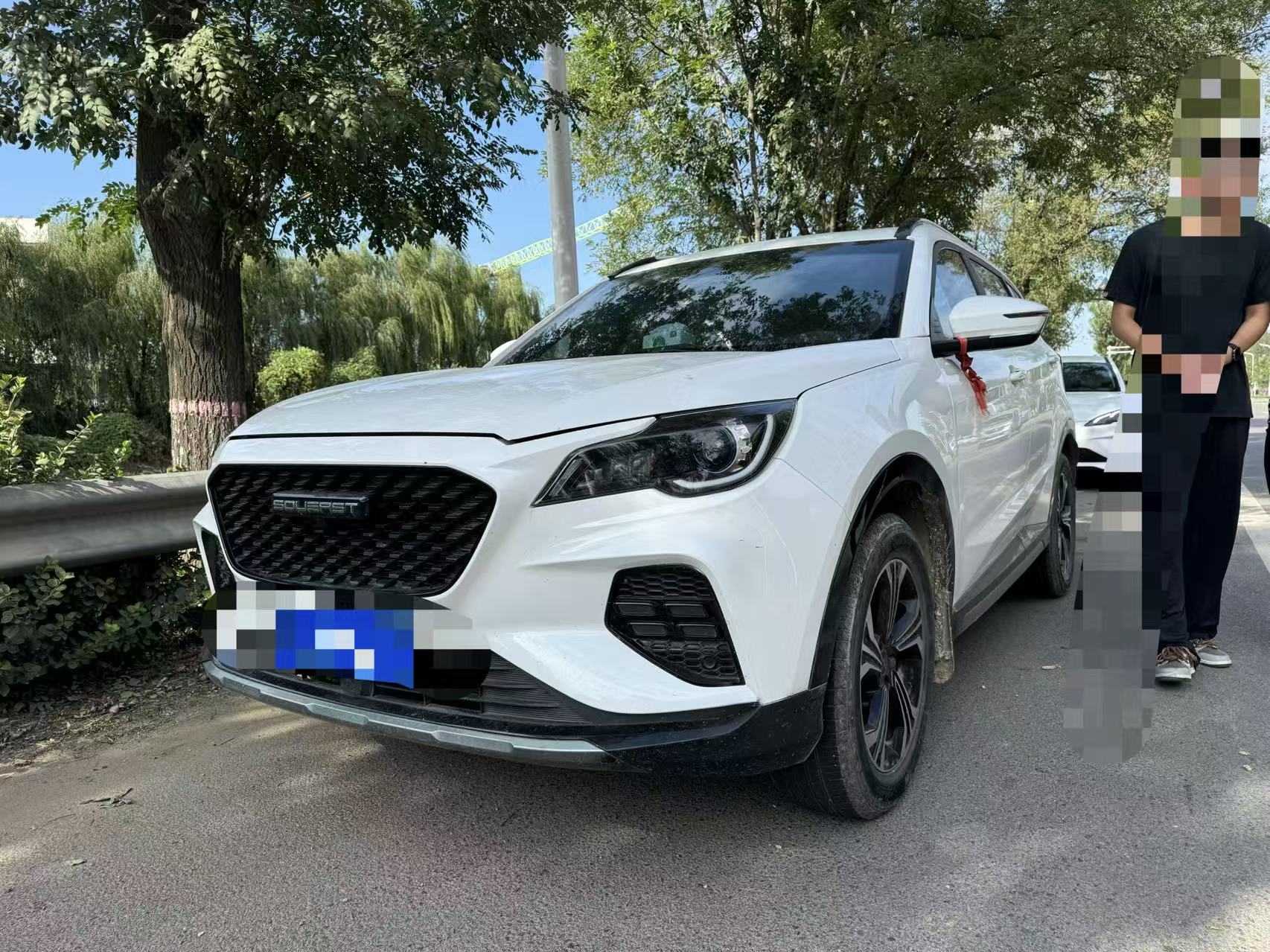 Soueast DX8 S 2023 汽车图片 