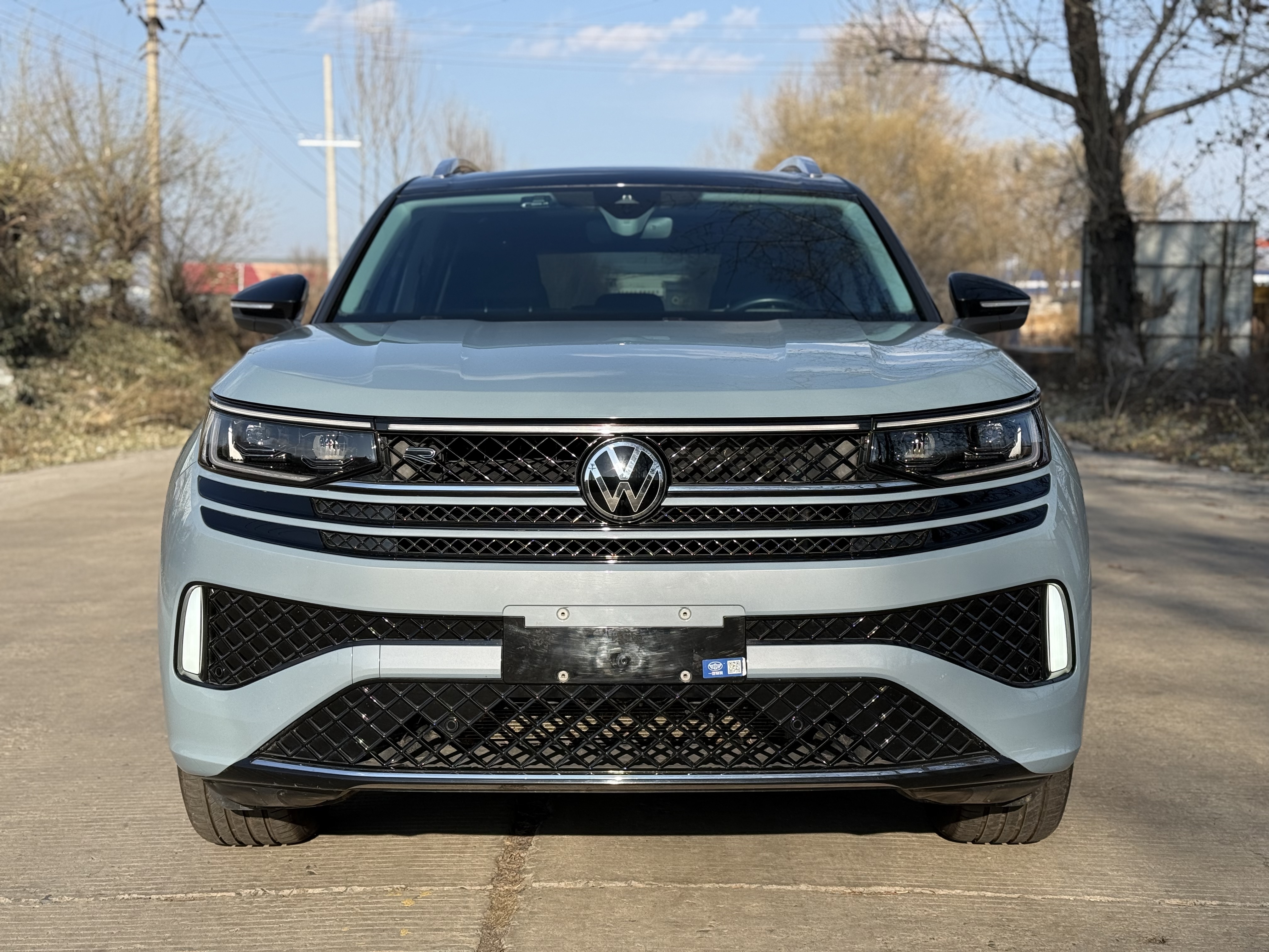 Volkswagen Tavendor 2023 汽车图片 