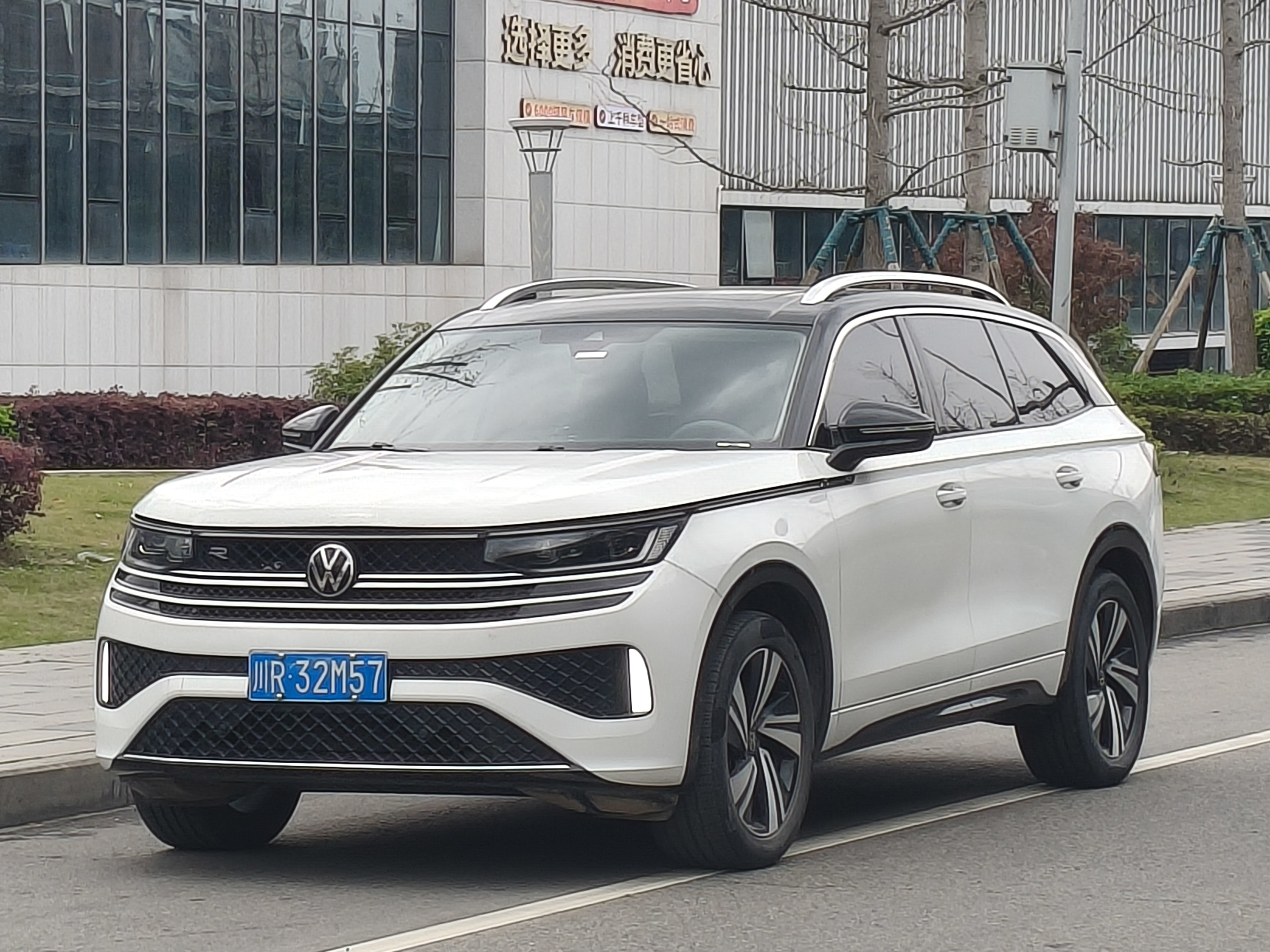 Volkswagen Tavendor 2023 汽车图片 