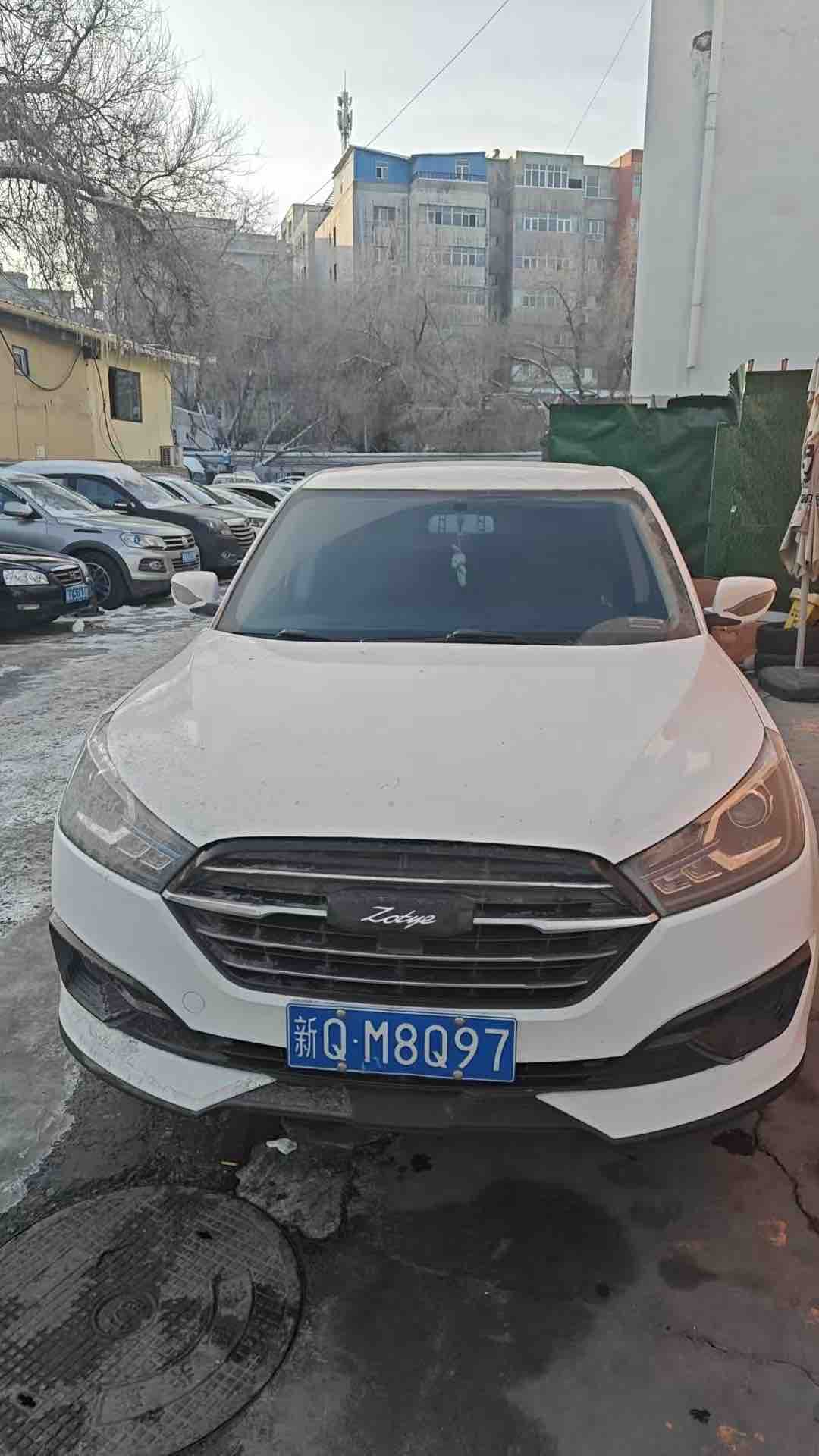 Zotye T300 2023 汽车图片 