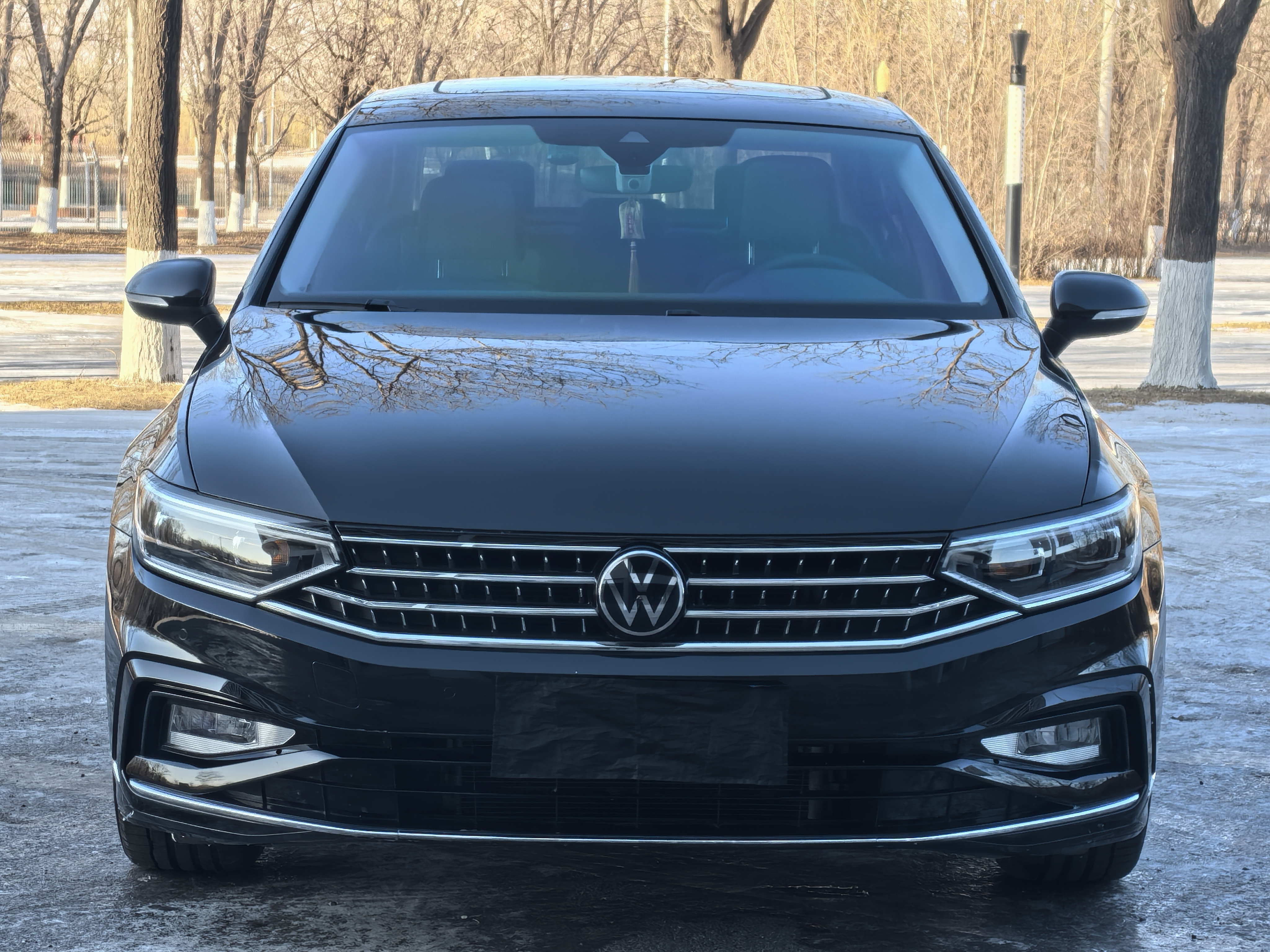 Volkswagen Magotan 2024 Volkswagen Magotan 2024 car image