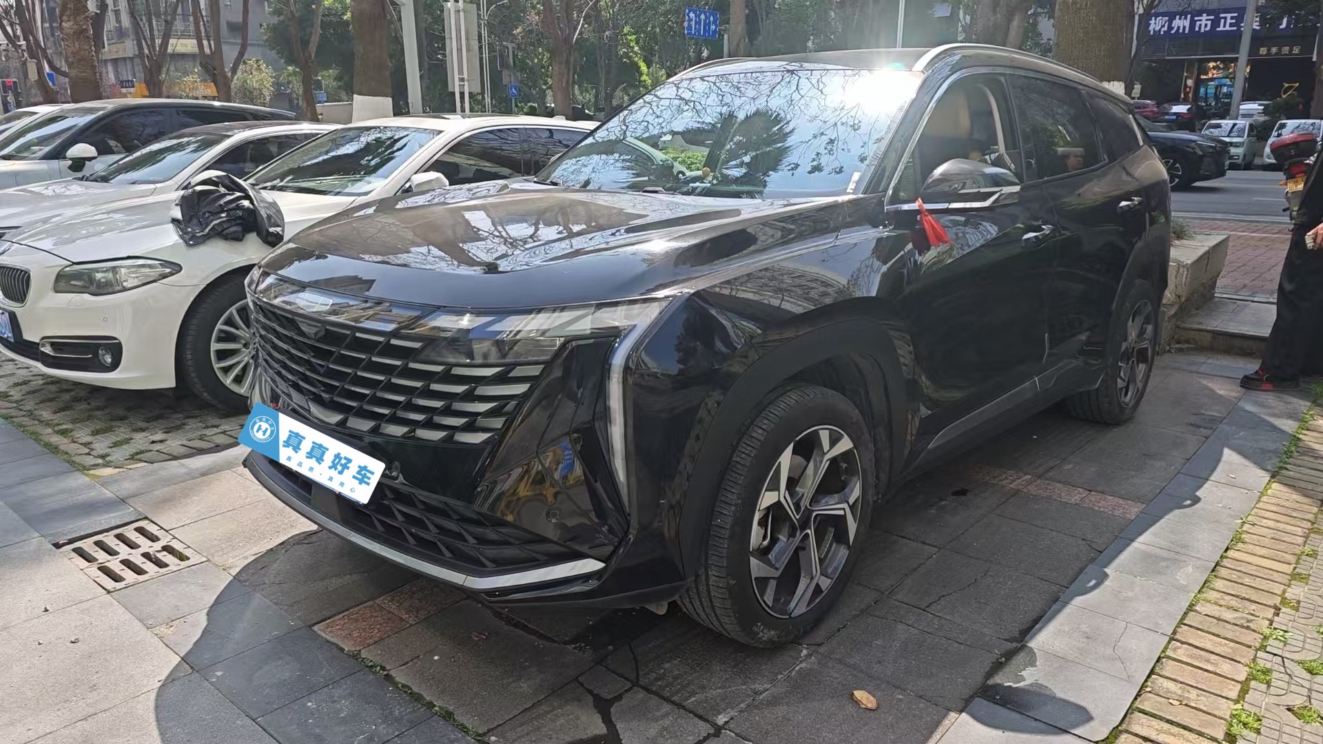 GEELY Boyue L 2024 car image 