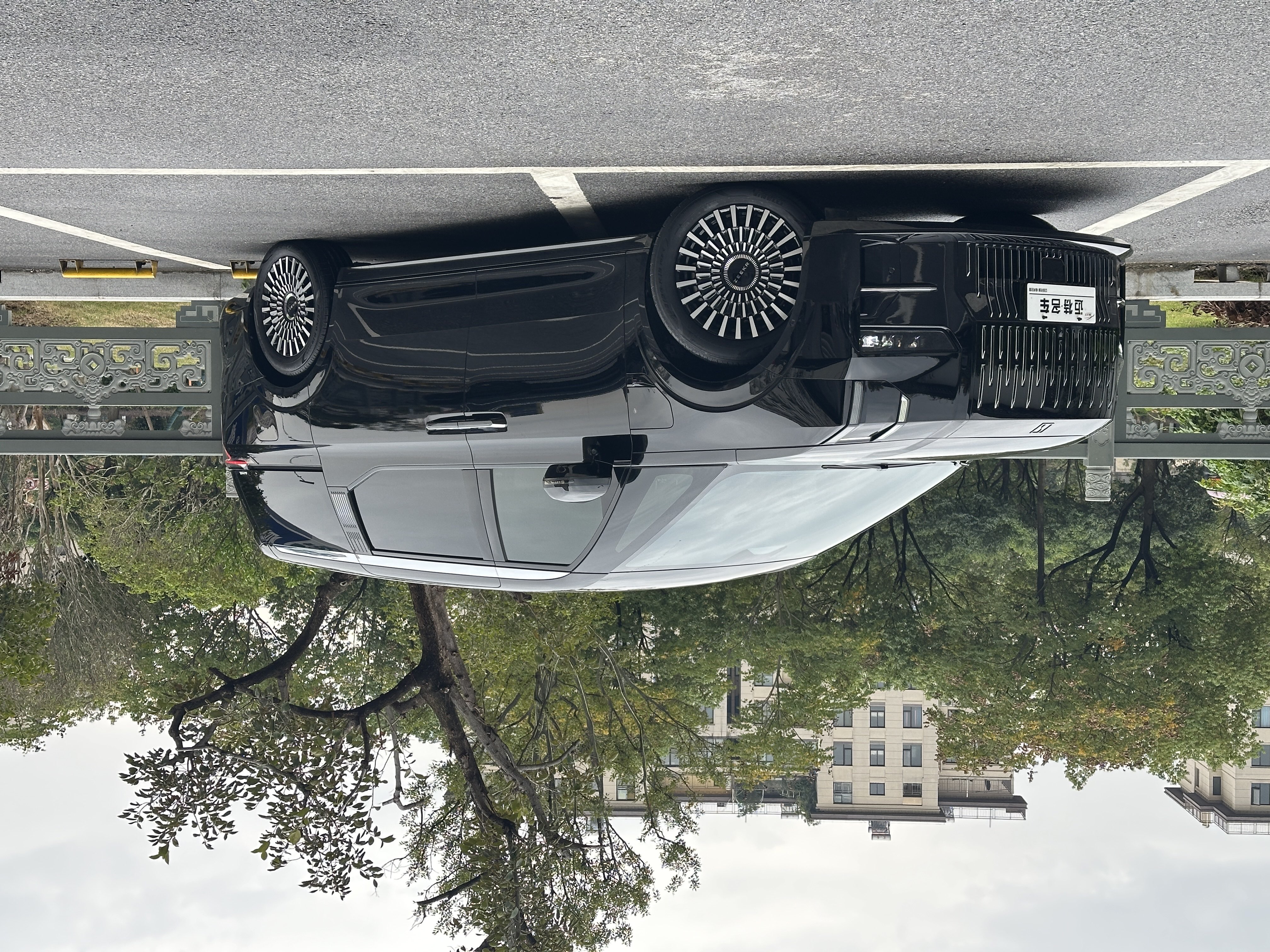 Zeekr 009 2023 汽车图片 