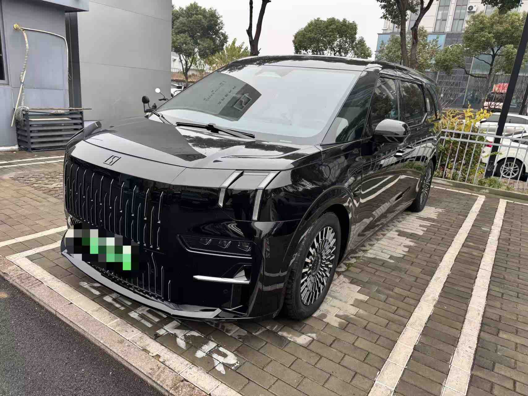 Zeekr 009 2023 汽车图片 