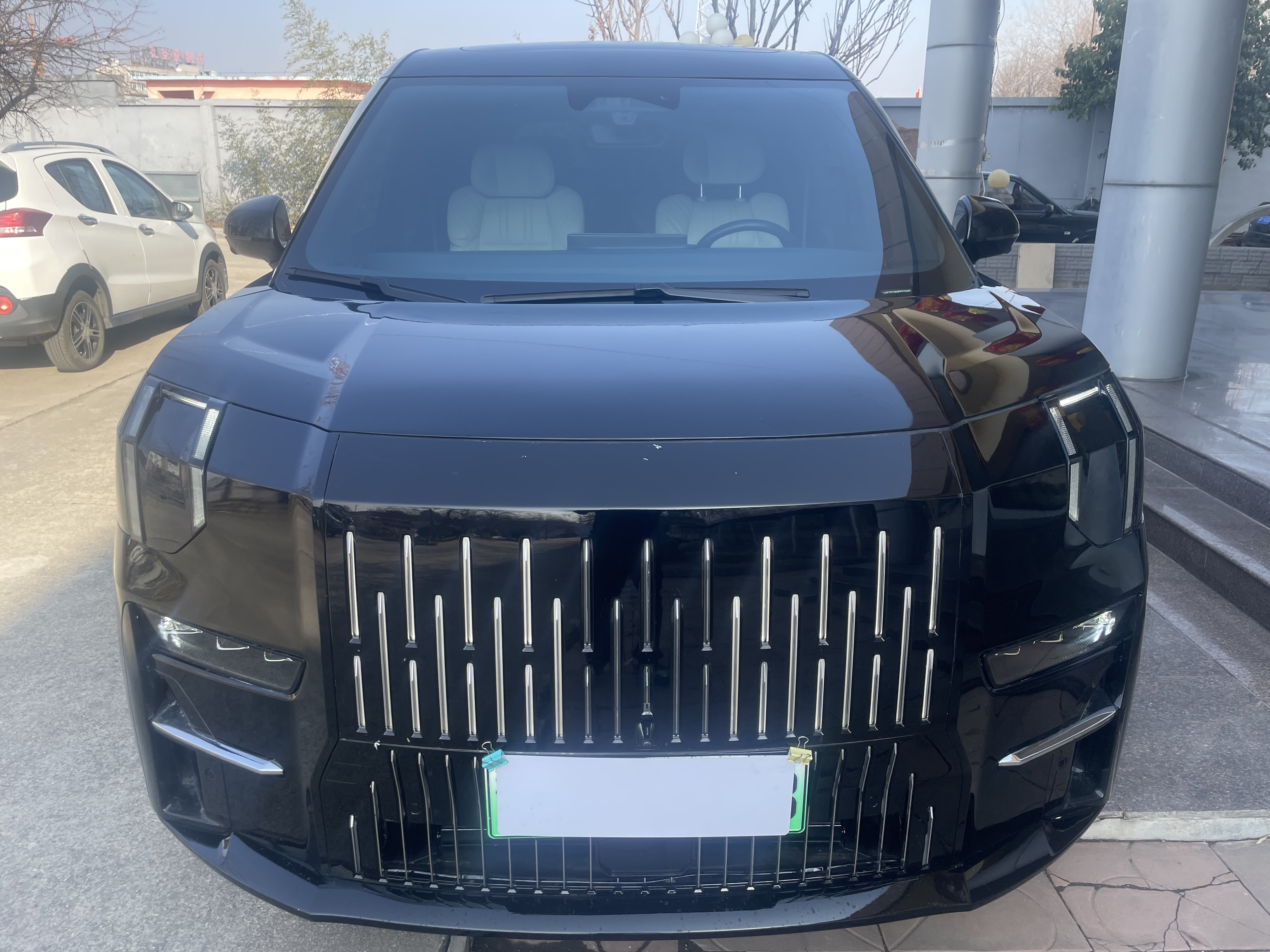 Zeekr 009 2023 汽车图片 