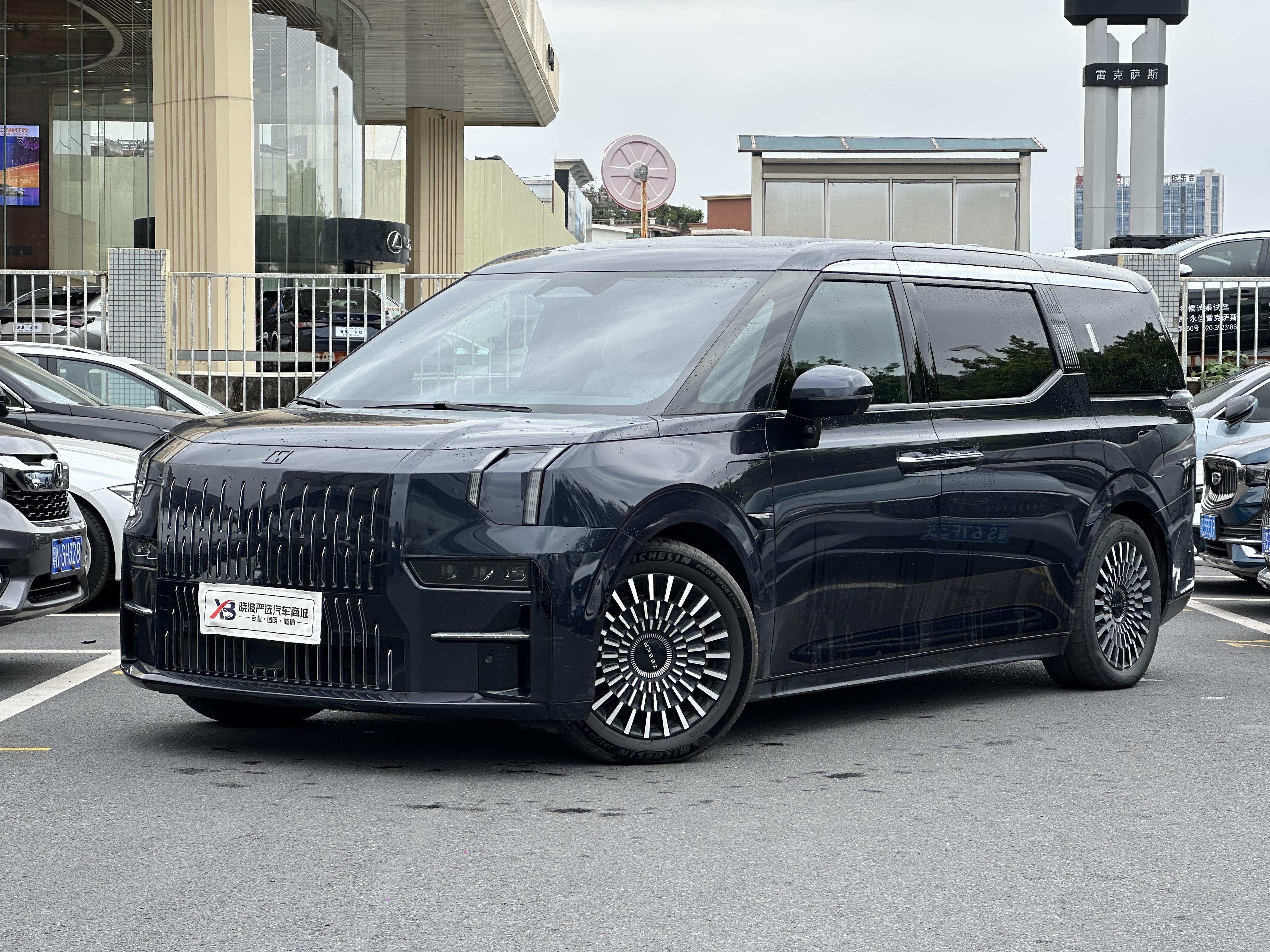 Zeekr 009 2023 汽车图片 