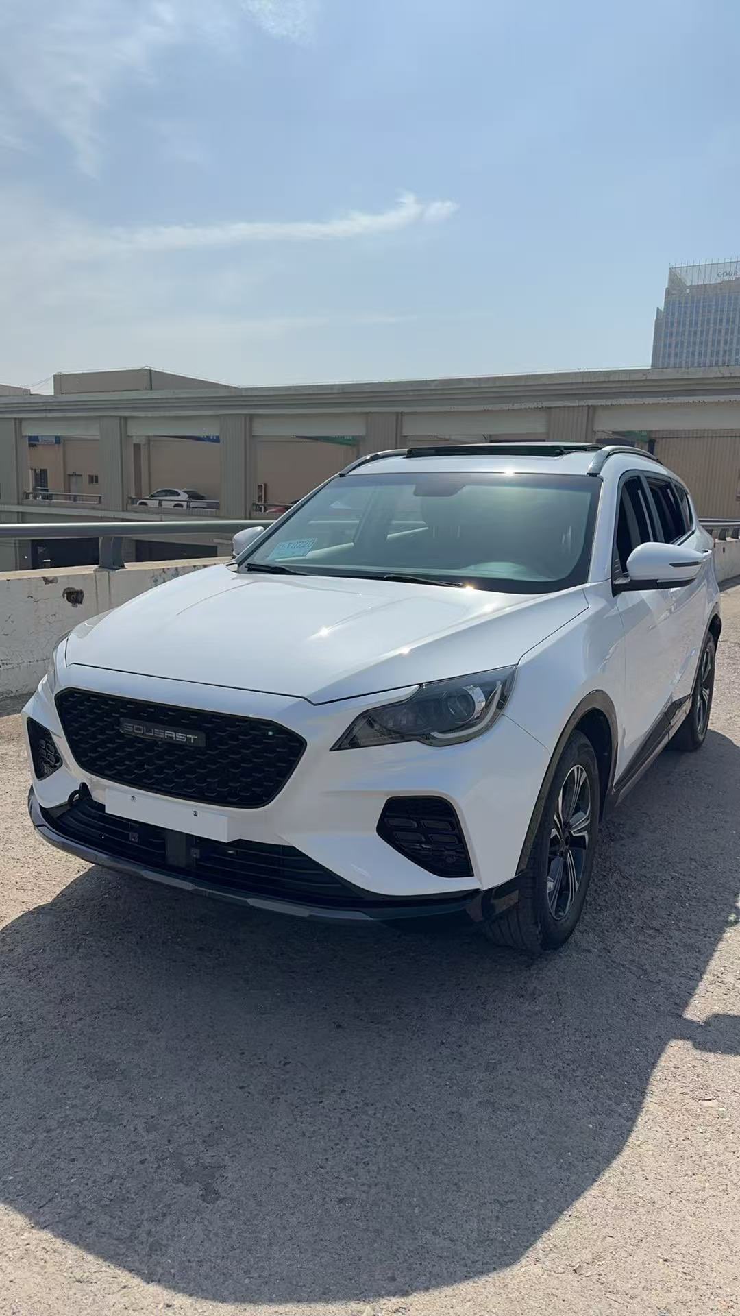 Soueast DX8 S 2023 汽车图片 