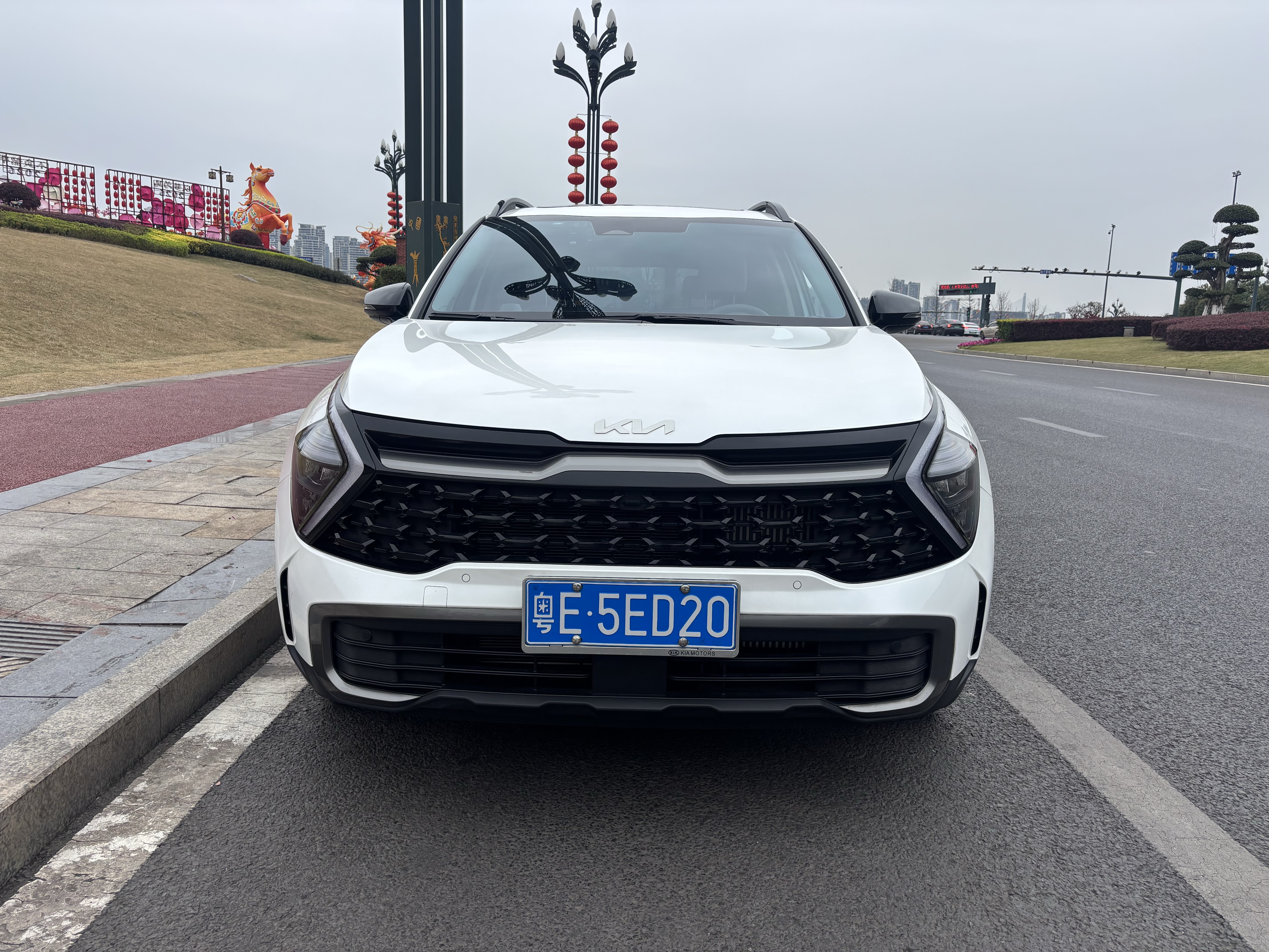 Kia Sportage 2024 car image 