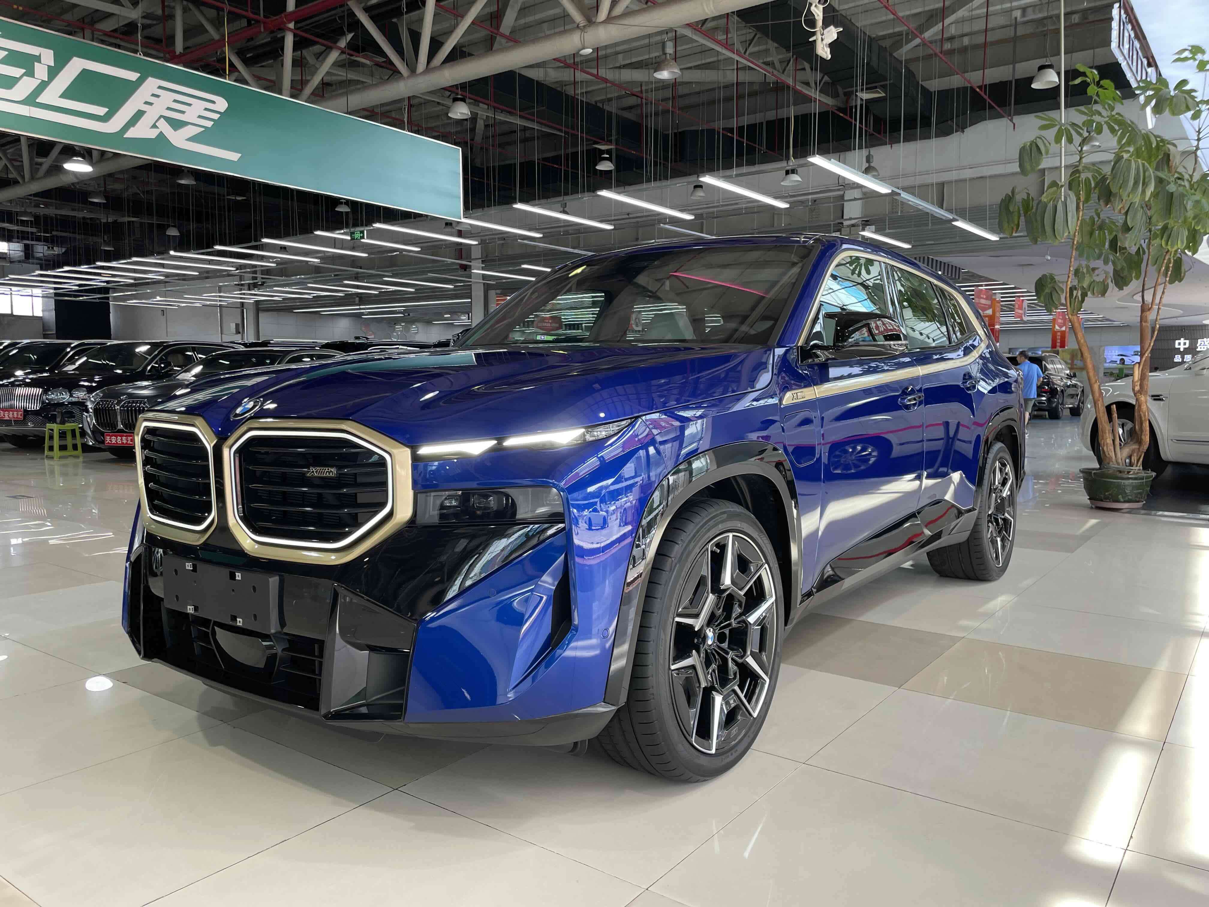 BMW XM 2024 car image 