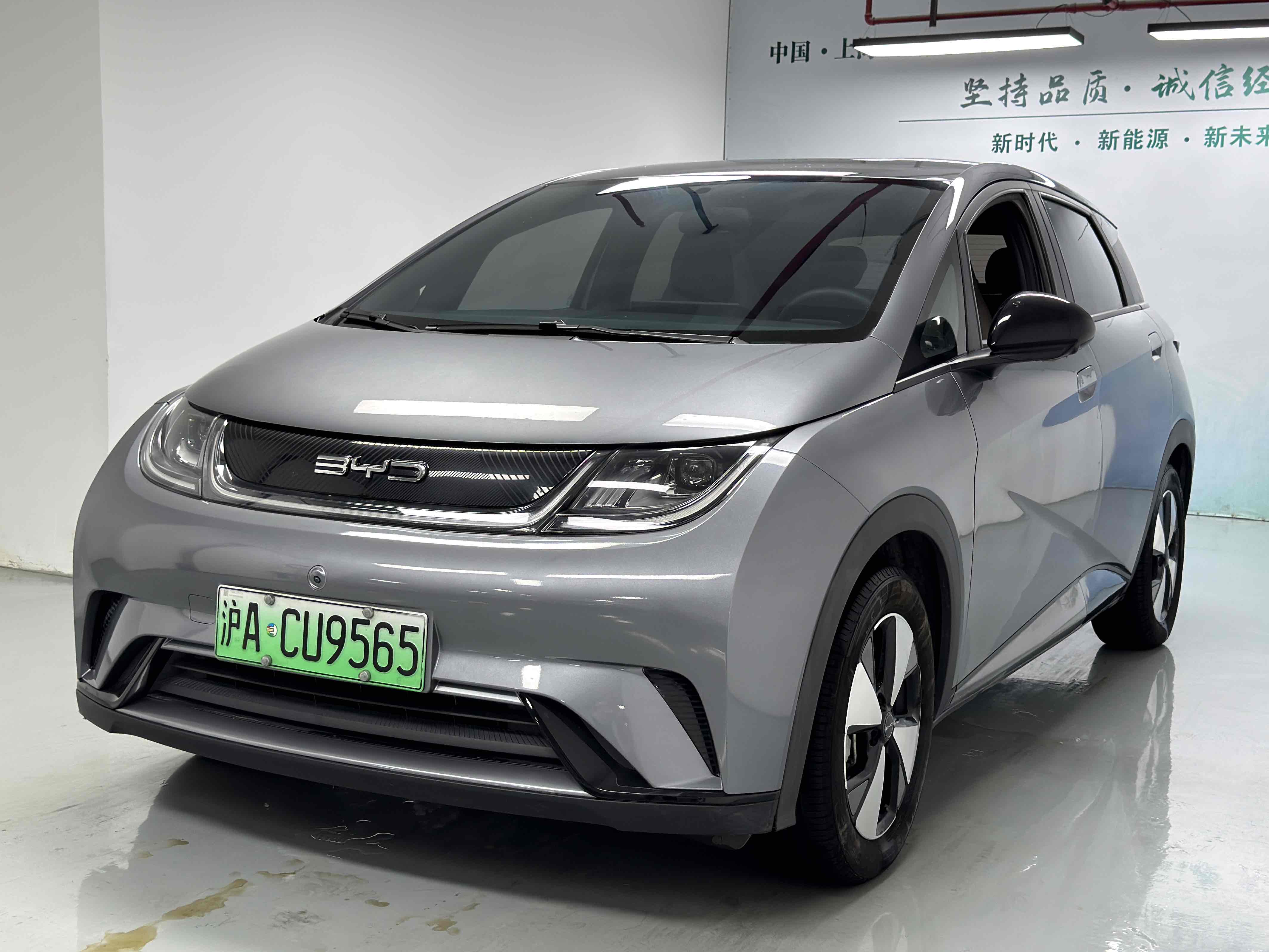 BYD Dolphin 2023 car image 