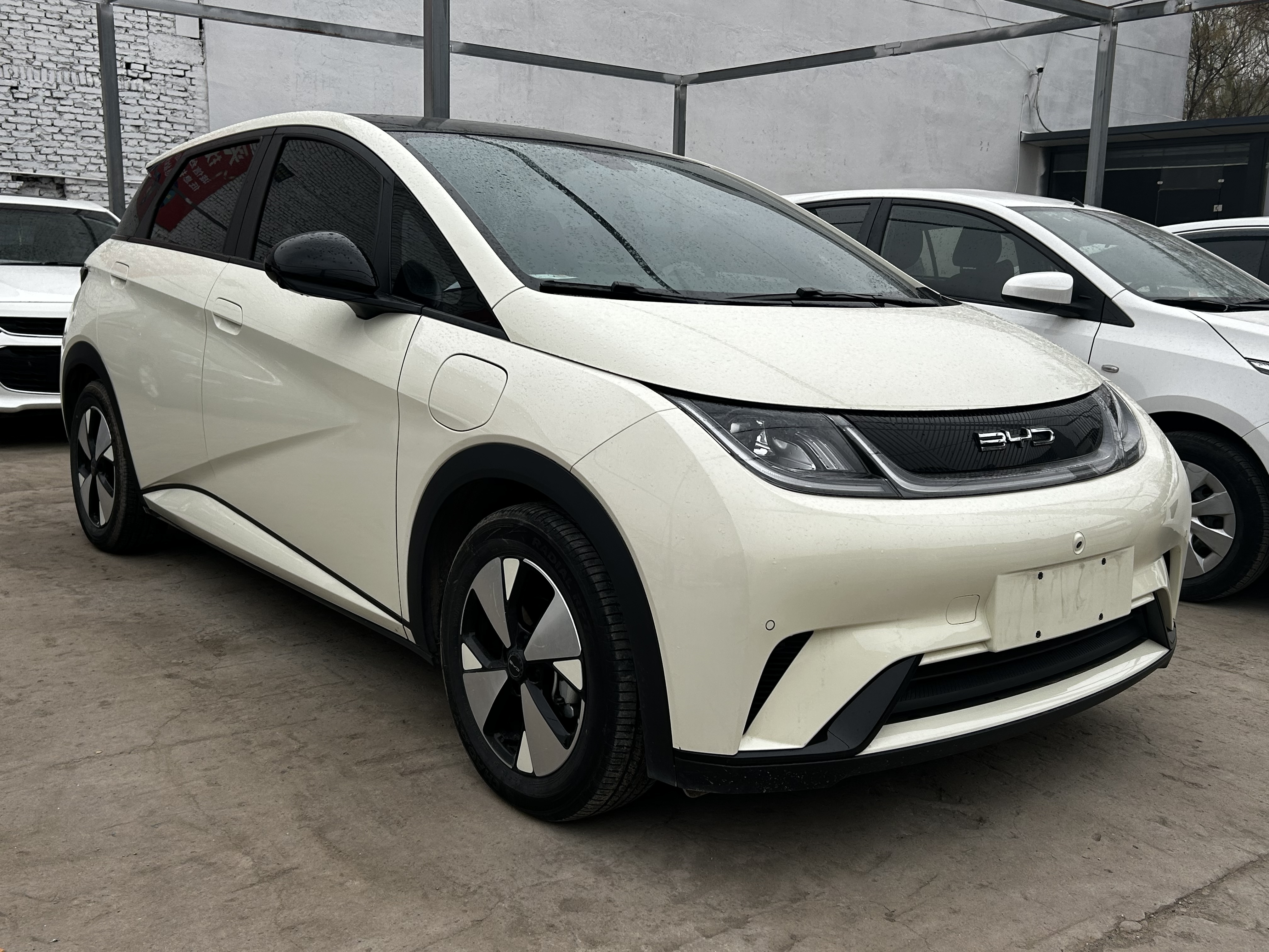 BYD Dolphin 2023 car image 