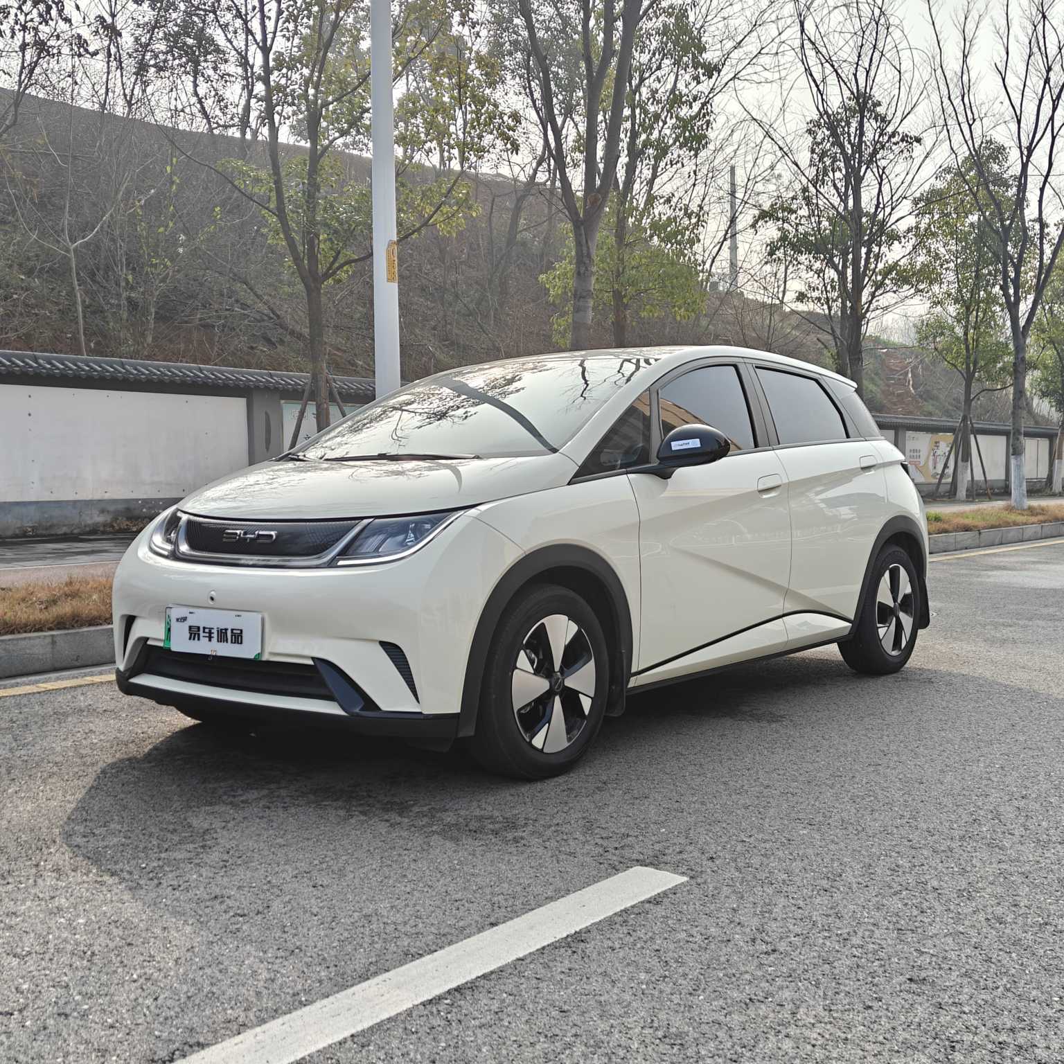 BYD Dolphin 2024 car image 